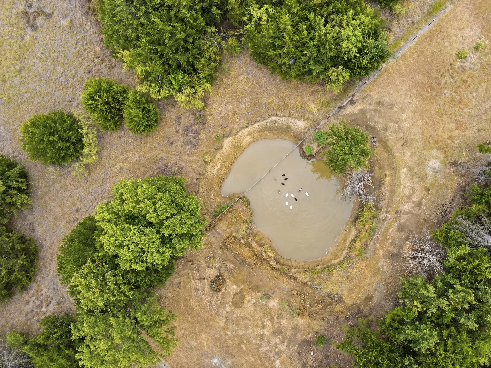 Unimproved Land For Sale in Hill County , 1226 Hcr 1425, Covington, Texas 76636, 0, 0, Garage spaces, 0 Sqft, built in 0, mls#21378983, Real Estate Agent in Covington, Homes For Sale in Hill county, Homes For Sale in Covington, Realtor in Covington Texas, Real Estate Brokerage Independent Realty Texas, Luminita Cordes Realtor