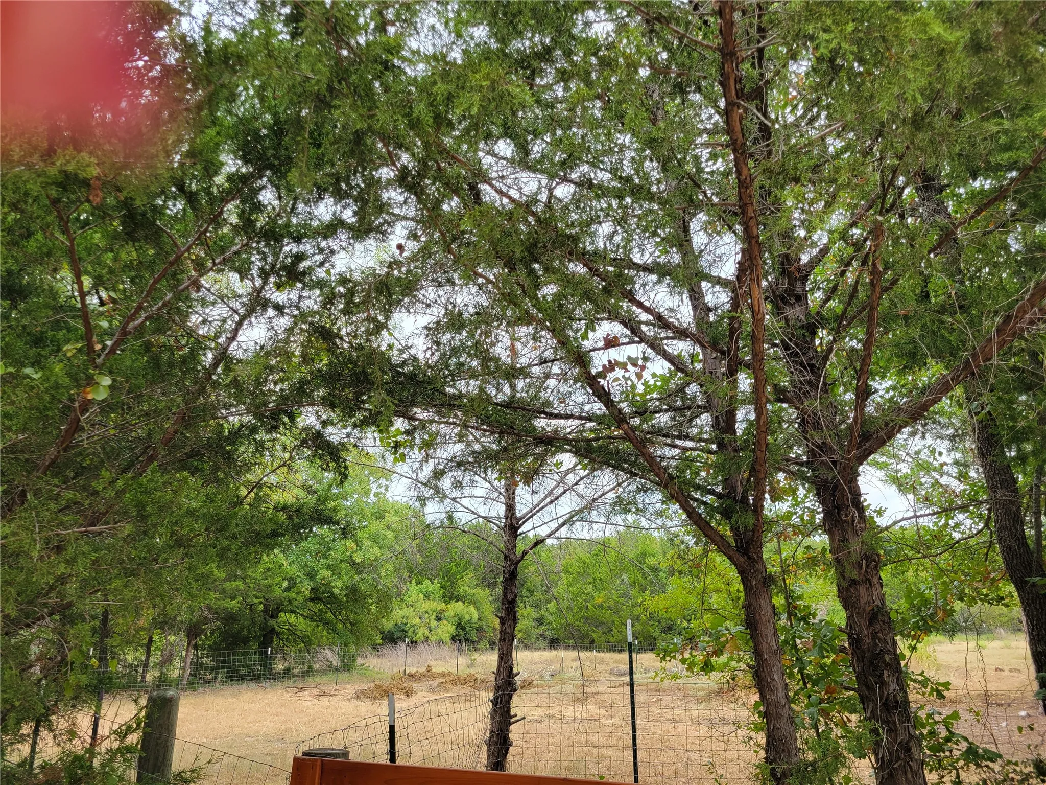 Unimproved Land For Sale in Hill County , 1226 Hcr 1425, Covington, Texas 76636, 0, 0, Garage spaces, 0 Sqft, built in 0, mls#21378983, Real Estate Agent in Covington, Homes For Sale in Hill county, Homes For Sale in Covington, Realtor in Covington Texas, Real Estate Brokerage Independent Realty Texas, Luminita Cordes Realtor