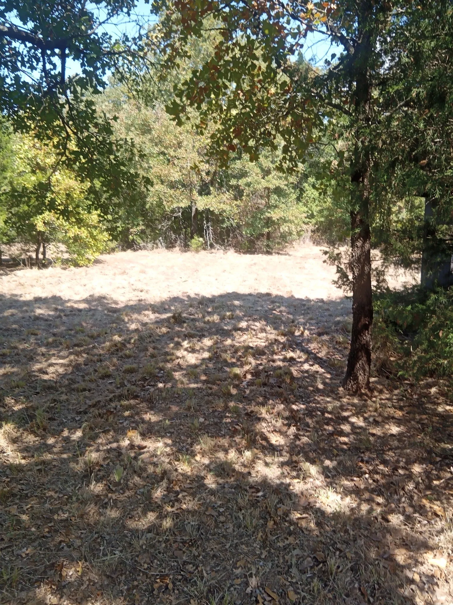 Unimproved Land For Sale in Hill County , 1226 Hcr 1425, Covington, Texas 76636, 0, 0, Garage spaces, 0 Sqft, built in 0, mls#21378983, Real Estate Agent in Covington, Homes For Sale in Hill county, Homes For Sale in Covington, Realtor in Covington Texas, Real Estate Brokerage Independent Realty Texas, Luminita Cordes Realtor
