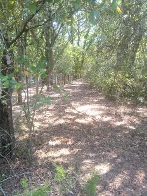 Unimproved Land For Sale in Hill County , 1226 Hcr 1425, Covington, Texas 76636, 0, 0, Garage spaces, 0 Sqft, built in 0, mls#21378983, Real Estate Agent in Covington, Homes For Sale in Hill county, Homes For Sale in Covington, Realtor in Covington Texas, Real Estate Brokerage Independent Realty Texas, Luminita Cordes Realtor