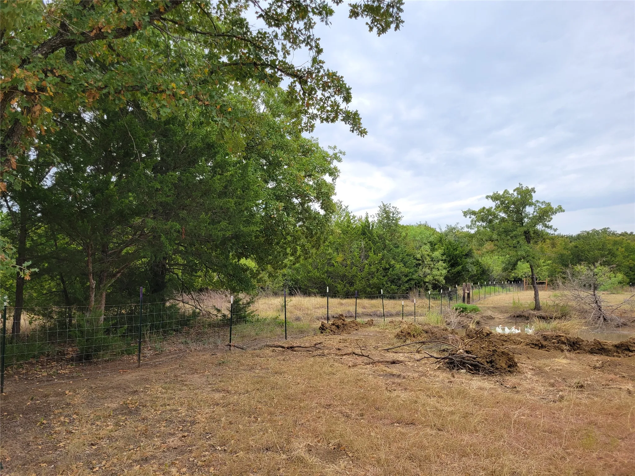 Unimproved Land For Sale in Hill County , 1226 Hcr 1425, Covington, Texas 76636, 0, 0, Garage spaces, 0 Sqft, built in 0, mls#21378983, Real Estate Agent in Covington, Homes For Sale in Hill county, Homes For Sale in Covington, Realtor in Covington Texas, Real Estate Brokerage Independent Realty Texas, Luminita Cordes Realtor