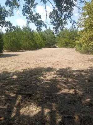 Unimproved Land For Sale in Hill County , 1226 Hcr 1425, Covington, Texas 76636, 0, 0, Garage spaces, 0 Sqft, built in 0, mls#21378983, Real Estate Agent in Covington, Homes For Sale in Hill county, Homes For Sale in Covington, Realtor in Covington Texas, Real Estate Brokerage Independent Realty Texas, Luminita Cordes Realtor