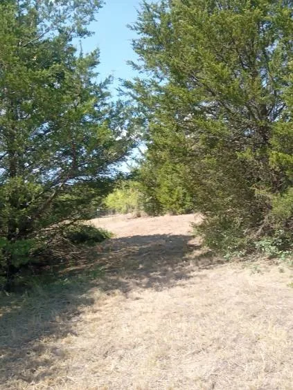 Unimproved Land For Sale in Hill County , 1226 Hcr 1425, Covington, Texas 76636, 0, 0, Garage spaces, 0 Sqft, built in 0, mls#21378983, Real Estate Agent in Covington, Homes For Sale in Hill county, Homes For Sale in Covington, Realtor in Covington Texas, Real Estate Brokerage Independent Realty Texas, Luminita Cordes Realtor