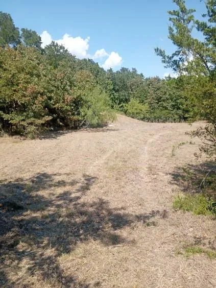 Unimproved Land For Sale in Hill County , 1226 Hcr 1425, Covington, Texas 76636, 0, 0, Garage spaces, 0 Sqft, built in 0, mls#21378983, Real Estate Agent in Covington, Homes For Sale in Hill county, Homes For Sale in Covington, Realtor in Covington Texas, Real Estate Brokerage Independent Realty Texas, Luminita Cordes Realtor