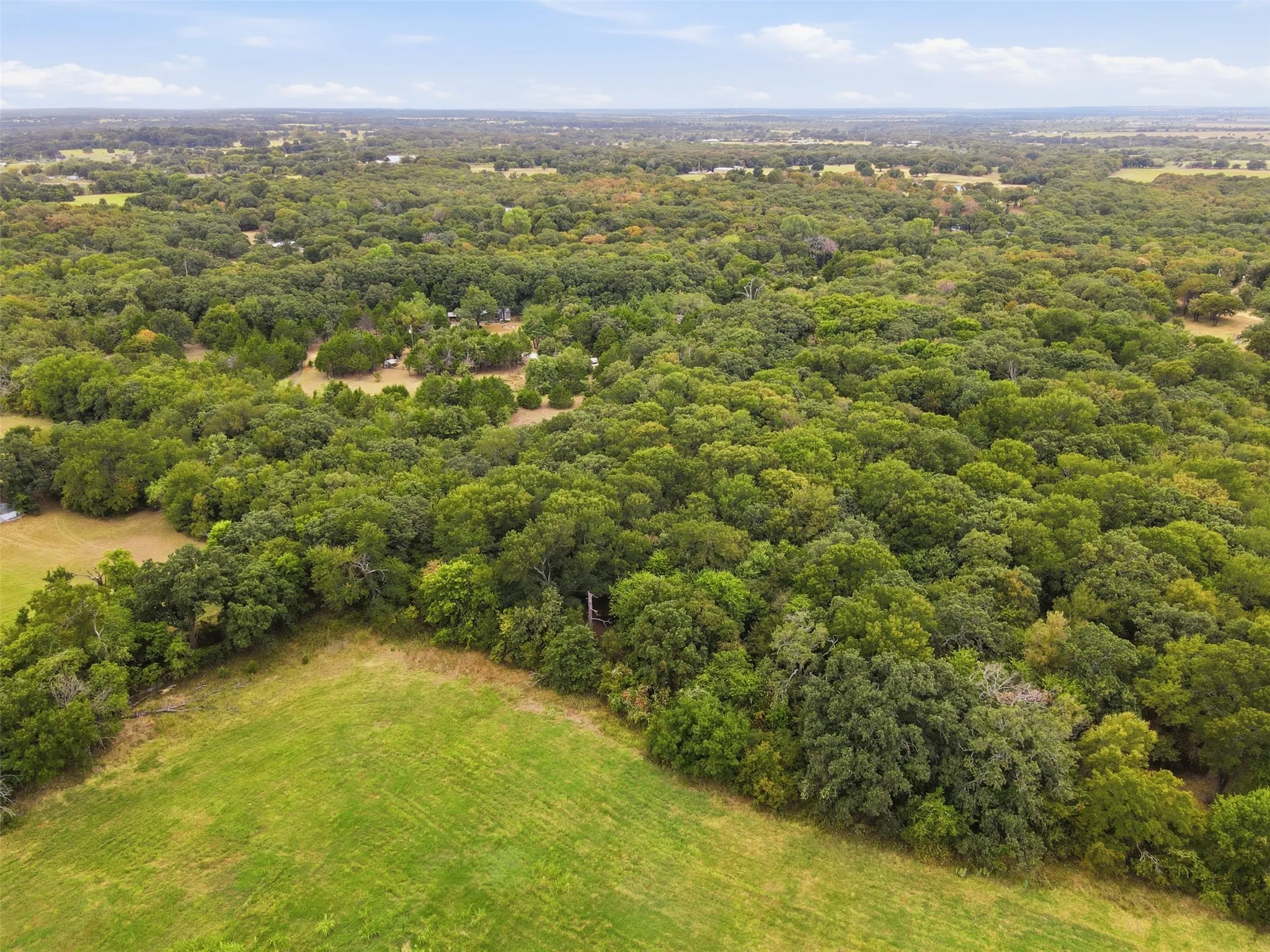 Unimproved Land For Sale in Hill County , 1226 Hcr 1425, Covington, Texas 76636, 0, 0, Garage spaces, 0 Sqft, built in 0, mls#21378983, Real Estate Agent in Covington, Homes For Sale in Hill county, Homes For Sale in Covington, Realtor in Covington Texas, Real Estate Brokerage Independent Realty Texas, Luminita Cordes Realtor