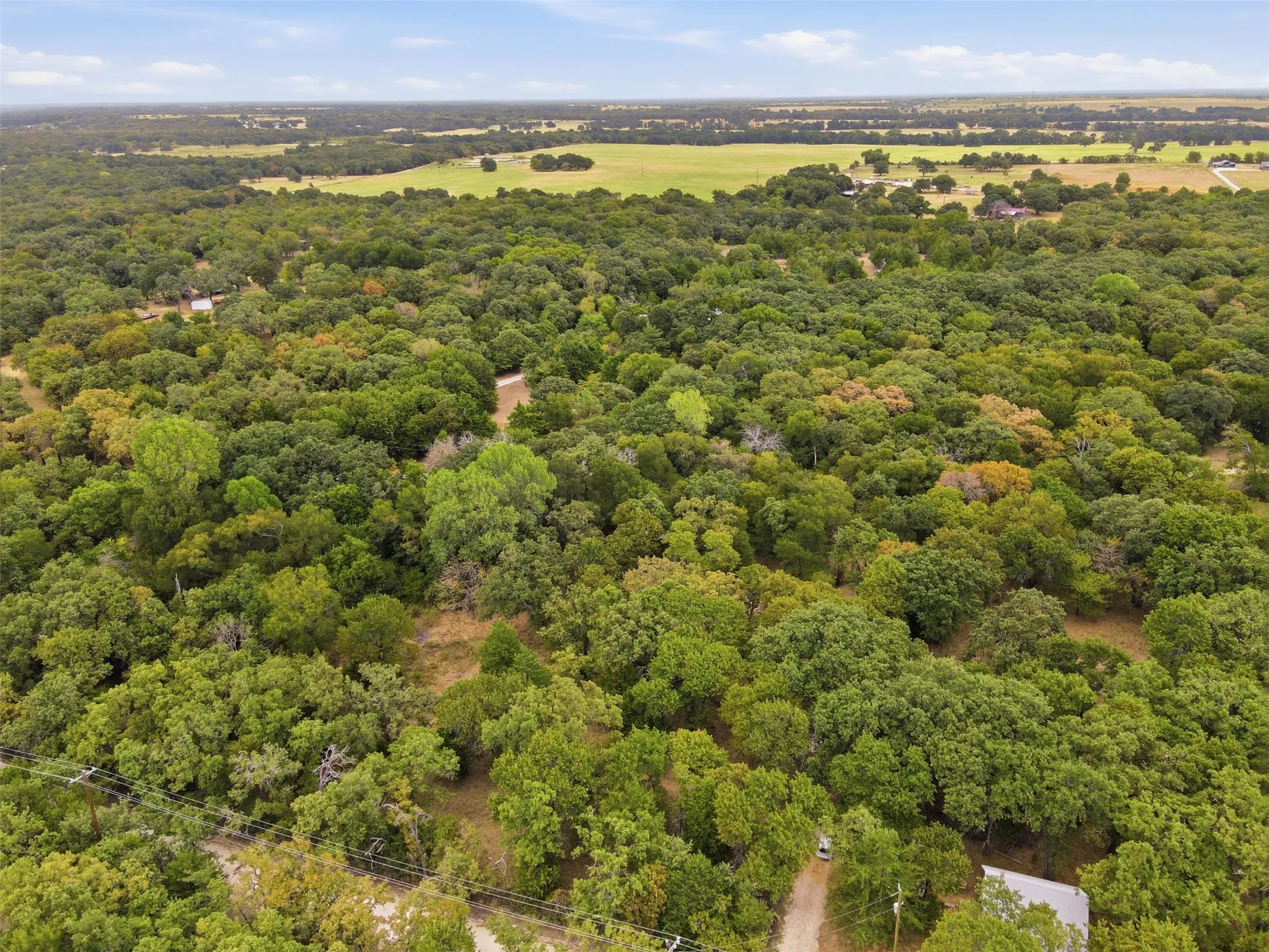 Unimproved Land For Sale in Hill County , 1226 Hcr 1425, Covington, Texas 76636, 0, 0, Garage spaces, 0 Sqft, built in 0, mls#21378983, Real Estate Agent in Covington, Homes For Sale in Hill county, Homes For Sale in Covington, Realtor in Covington Texas, Real Estate Brokerage Independent Realty Texas, Luminita Cordes Realtor