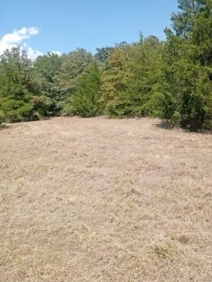 Unimproved Land For Sale in Hill County , 1226 Hcr 1425, Covington, Texas 76636, 0, 0, Garage spaces, 0 Sqft, built in 0, mls#21378983, Real Estate Agent in Covington, Homes For Sale in Hill county, Homes For Sale in Covington, Realtor in Covington Texas, Real Estate Brokerage Independent Realty Texas, Luminita Cordes Realtor