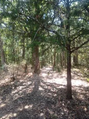 Unimproved Land For Sale in Hill County , 1226 Hcr 1425, Covington, Texas 76636, 0, 0, Garage spaces, 0 Sqft, built in 0, mls#21378983, Real Estate Agent in Covington, Homes For Sale in Hill county, Homes For Sale in Covington, Realtor in Covington Texas, Real Estate Brokerage Independent Realty Texas, Luminita Cordes Realtor