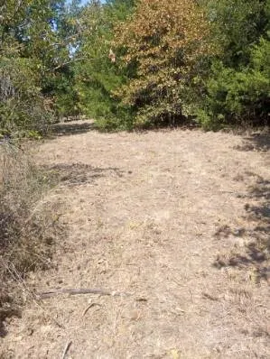 Unimproved Land For Sale in Hill County , 1226 Hcr 1425, Covington, Texas 76636, 0, 0, Garage spaces, 0 Sqft, built in 0, mls#21378983, Real Estate Agent in Covington, Homes For Sale in Hill county, Homes For Sale in Covington, Realtor in Covington Texas, Real Estate Brokerage Independent Realty Texas, Luminita Cordes Realtor