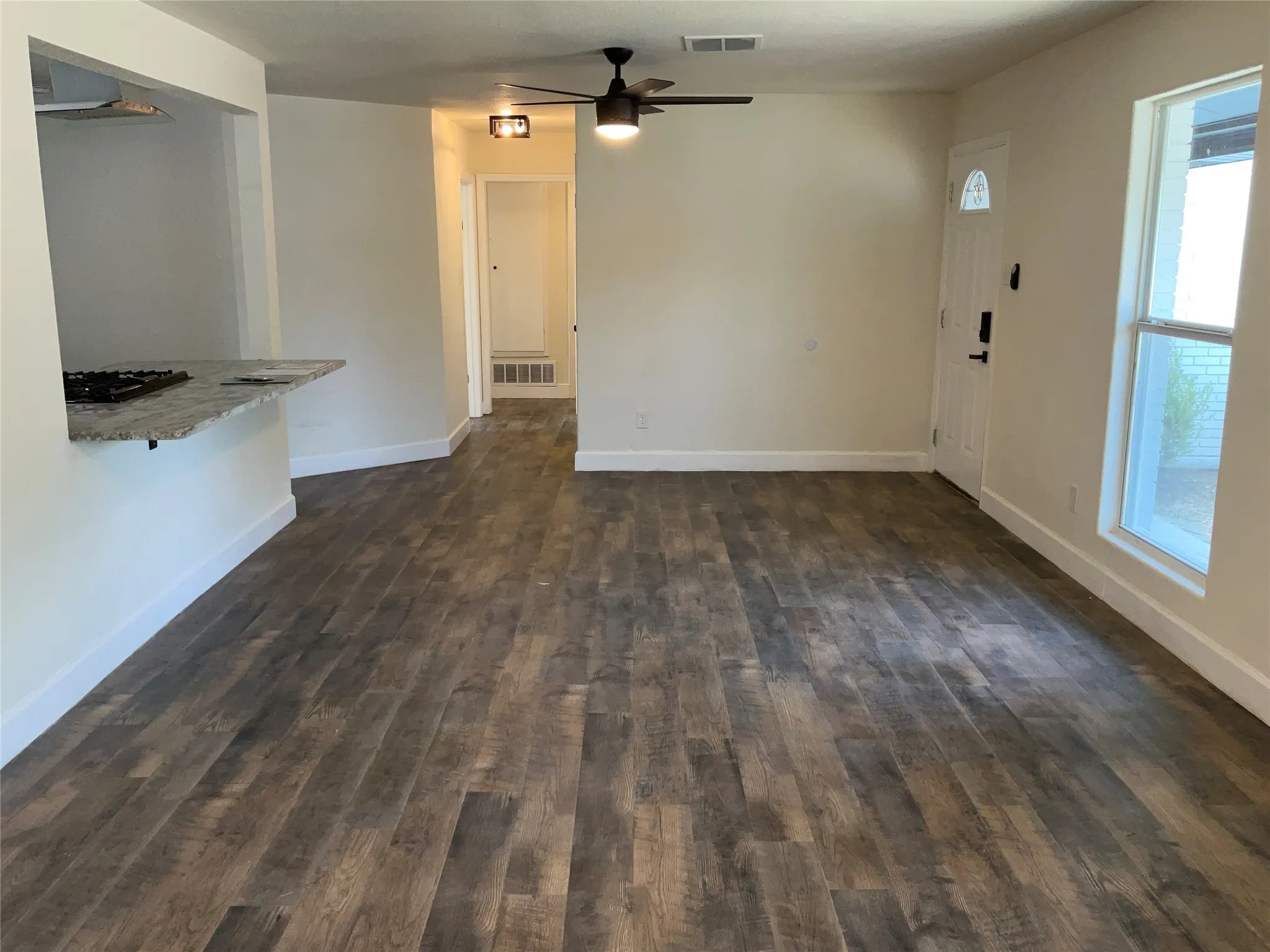 Living room and entrance