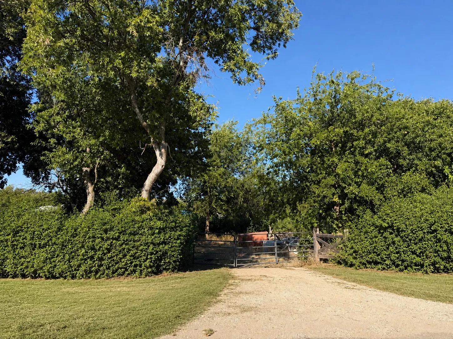This phot has been edited to cut down grass and overgrowth