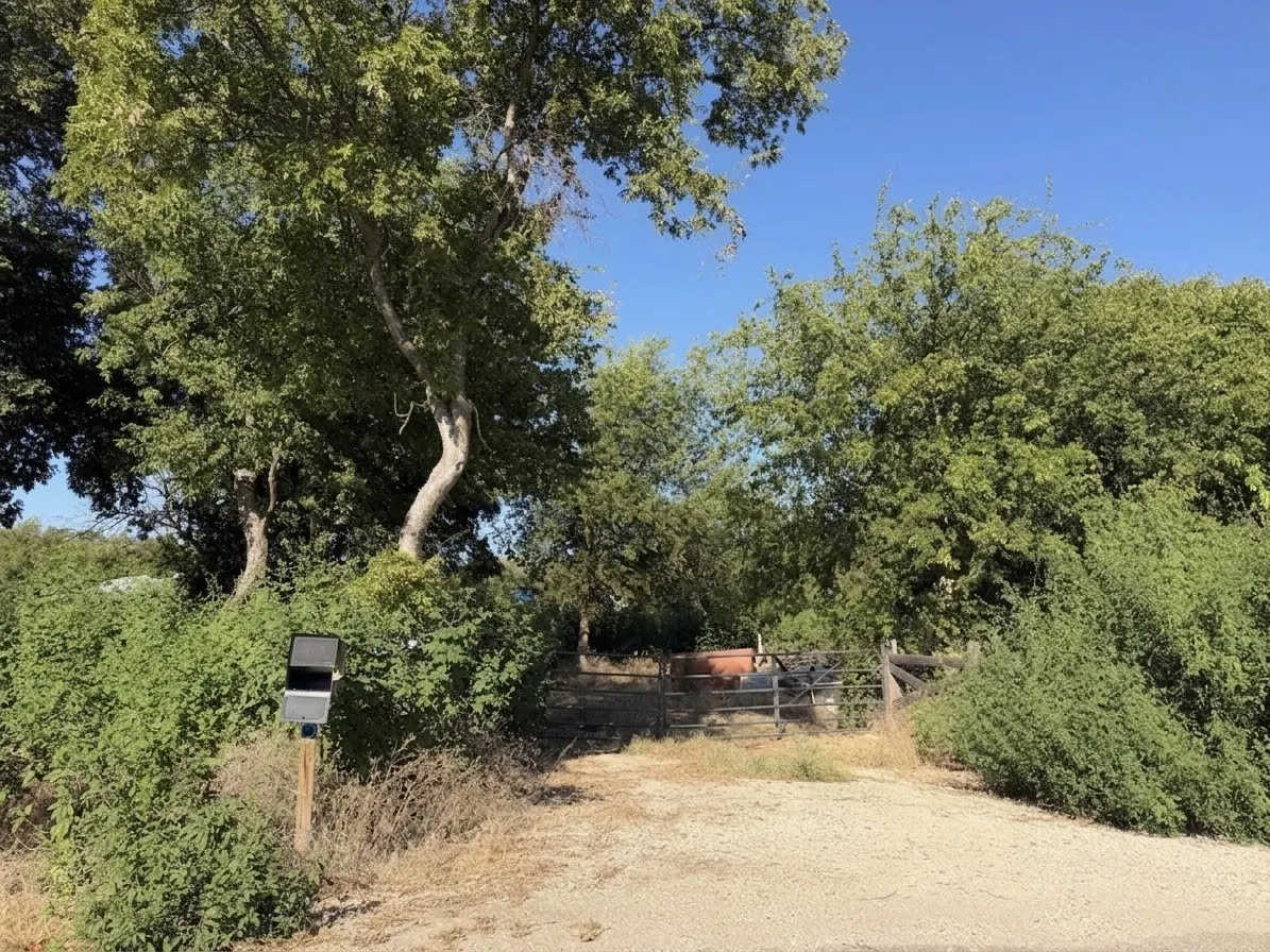 Unimproved Land For Sale in Johnson County , 8029 County Road 1014, Joshua, Texas 76058, 0, 0, Garage spaces, 0 Sqft, built in 0, mls#21378933, Real Estate Agent in Joshua, Homes For Sale in Johnson county, Homes For Sale in Joshua, Realtor in Joshua Texas, Real Estate Brokerage Independent Realty Texas, Luminita Cordes Realtor