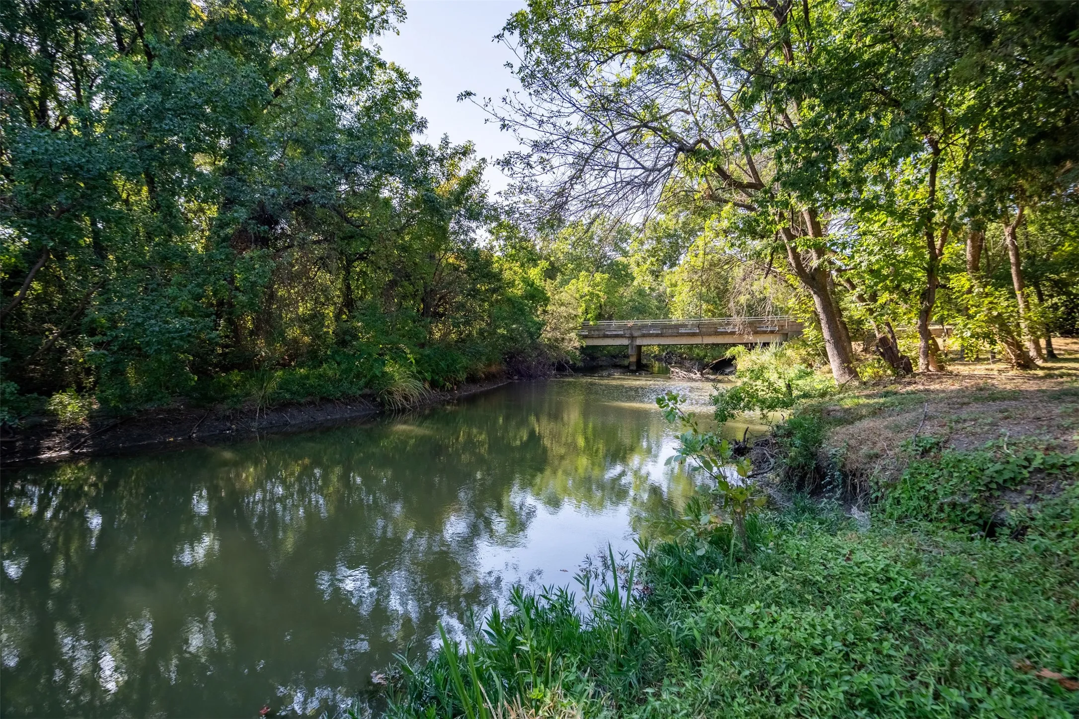 Natural waterway bordered by lush trees and verdant groundcover