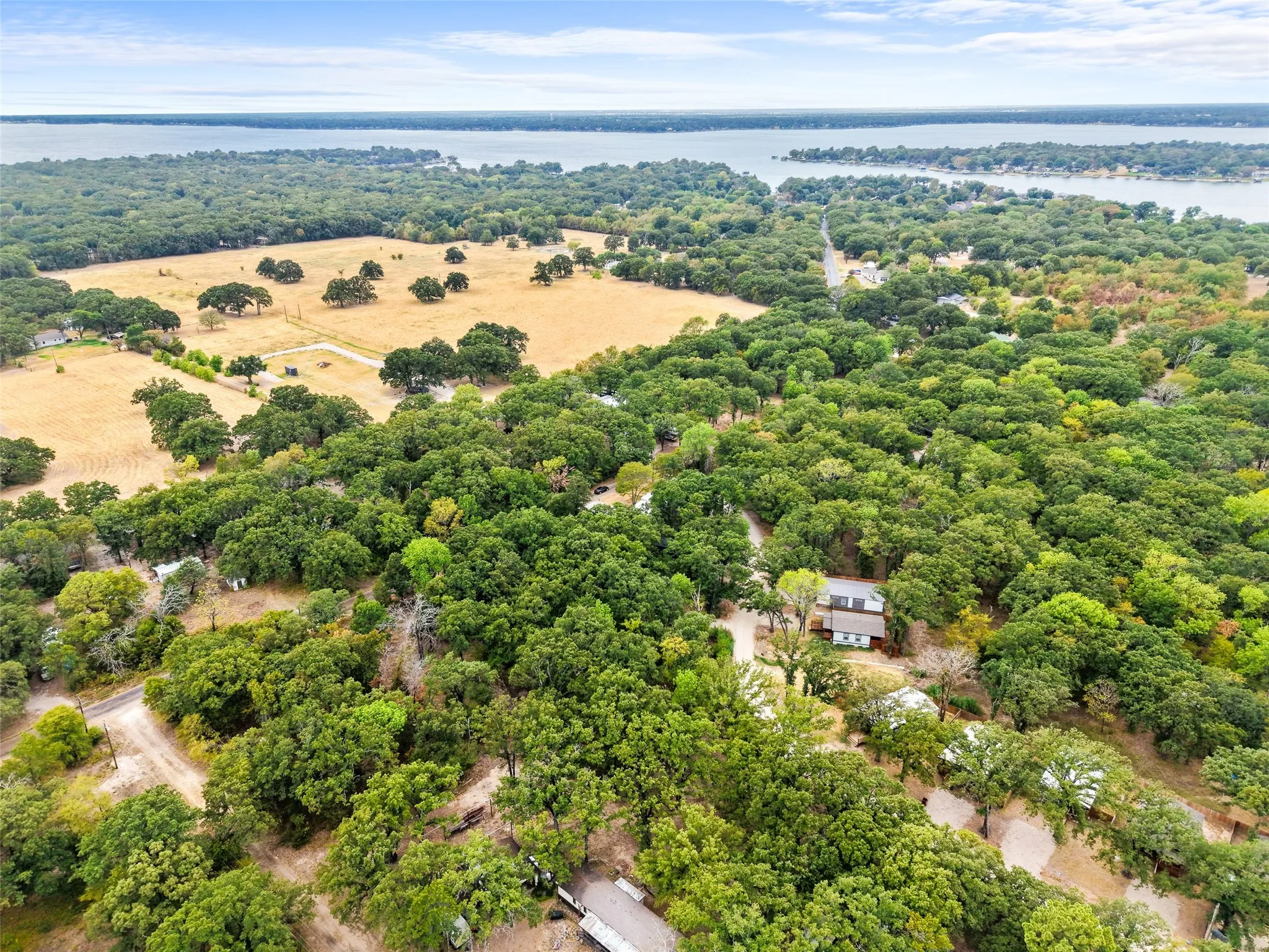 Expansive natural landscape featuring lush trees and open fields