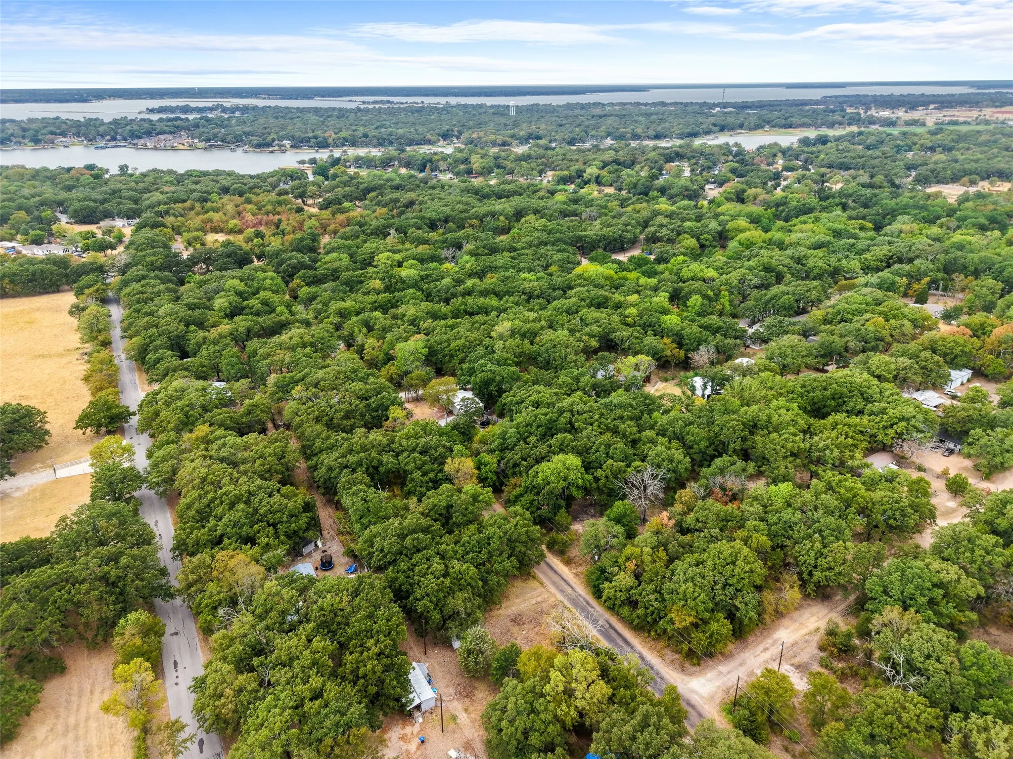 Expansive overhead perspective featuring a verdant landscape with mature trees, established roads, and a prominent body of water in the distance