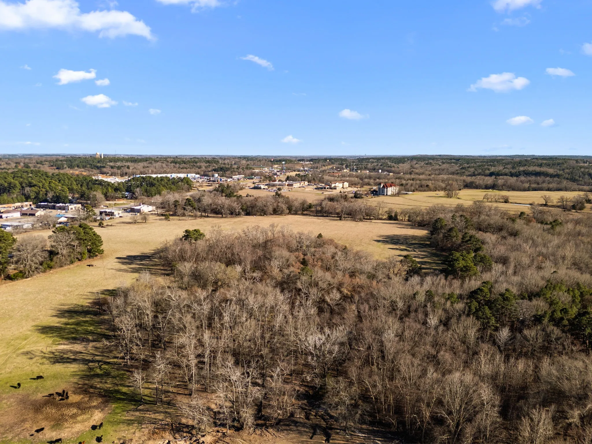 Unimproved Land For Sale in Smith County , TBD CR 472-Centennial Blvd, Lindale, Texas 75771, 0, 0, Garage spaces, 0 Sqft, built in 0, mls#21379033, Real Estate Agent in Lindale, Homes For Sale in Smith county, Homes For Sale in Lindale, Realtor in Lindale Texas, Real Estate Brokerage Independent Realty Texas, Luminita Cordes Realtor