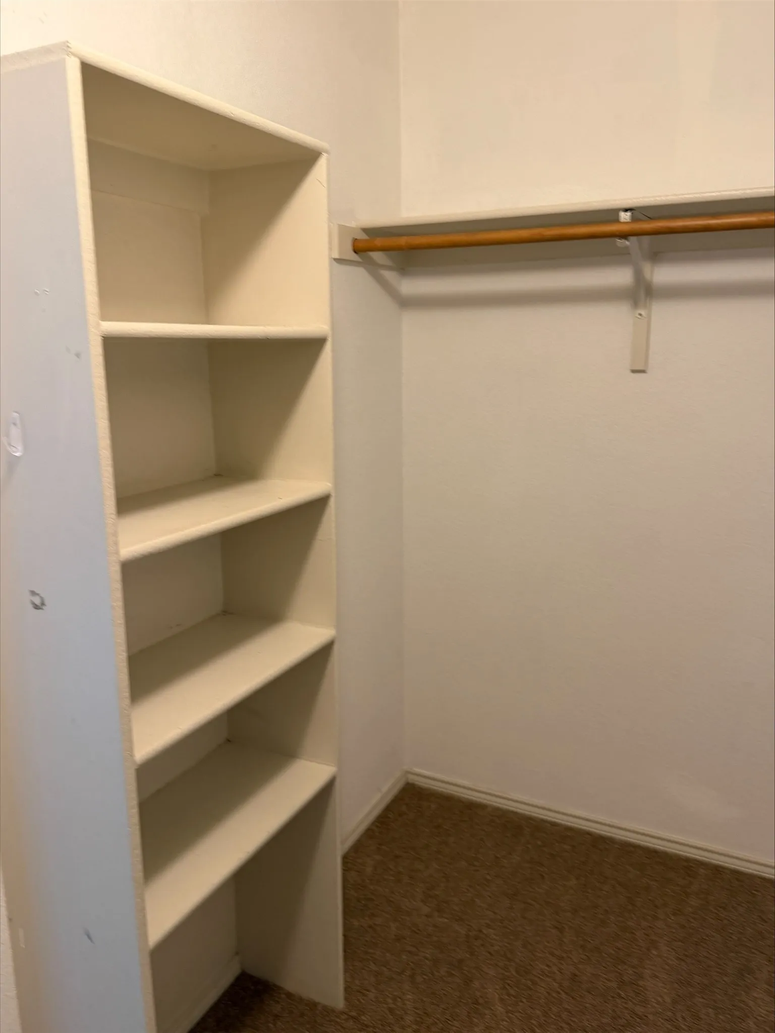 Built-in shelving unit with multiple shelves, clothing rod, and carpet flooring