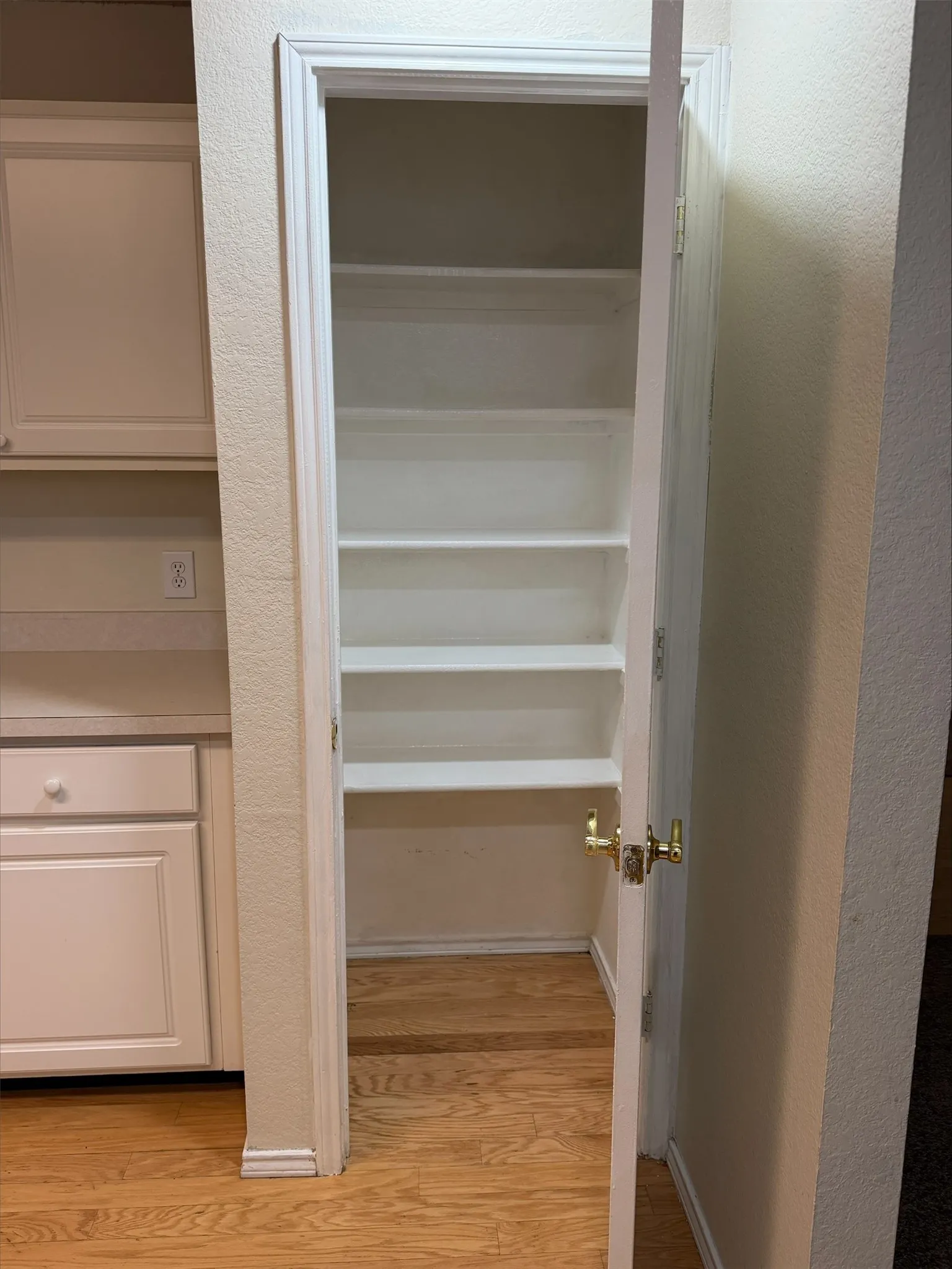 Pantry with multiple built-in shelves, wood-finish flooring, and a brass door handle