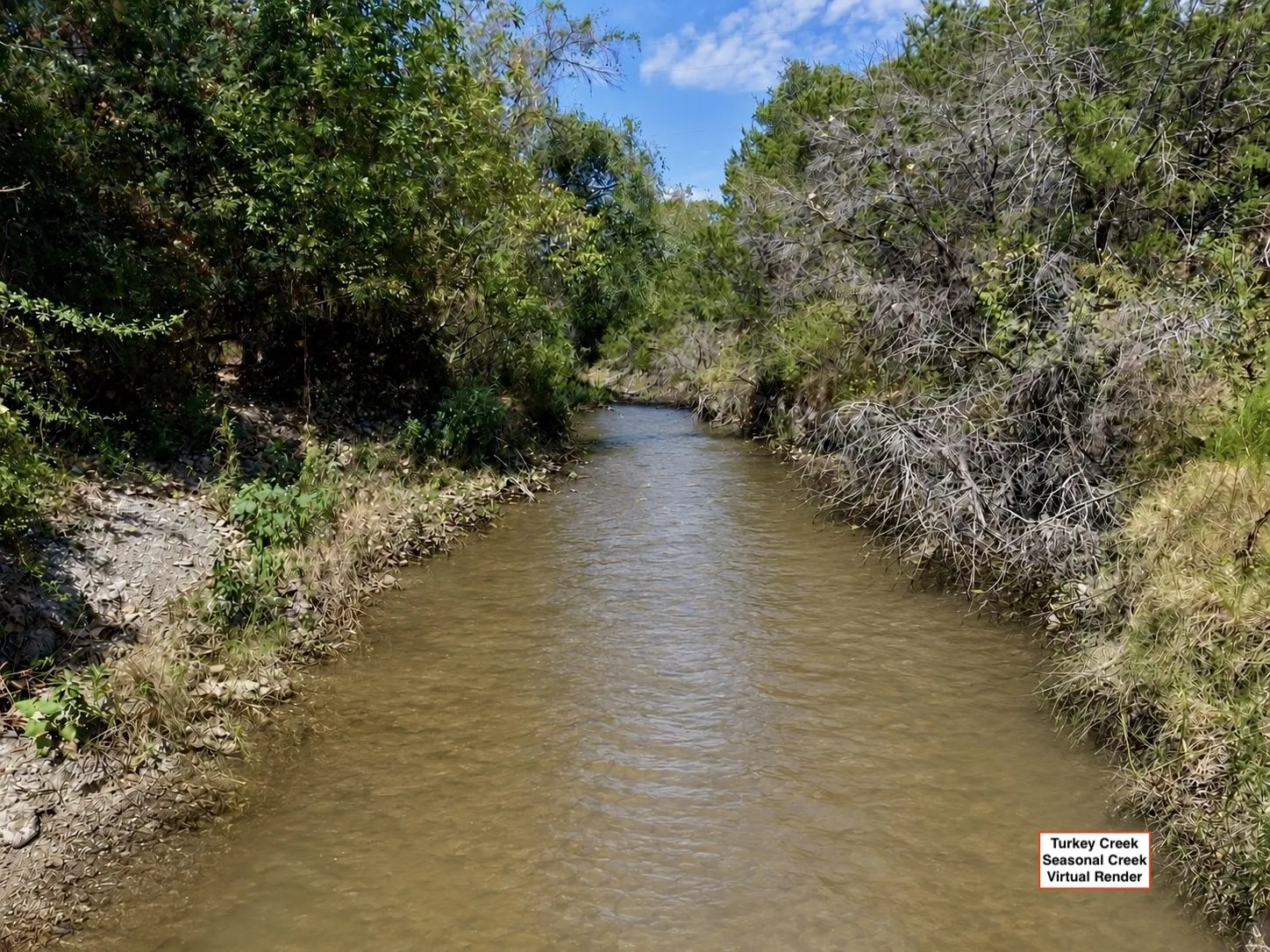 Unimproved Land For Sale in Bosque County , TBD County Road 4240, Clifton, Texas 76634, 0, 0, Garage spaces, 0 Sqft, built in 0, mls#21376077, Real Estate Agent in Clifton, Homes For Sale in Bosque county, Homes For Sale in Clifton, Realtor in Clifton Texas, Real Estate Brokerage Independent Realty Texas, Luminita Cordes Realtor