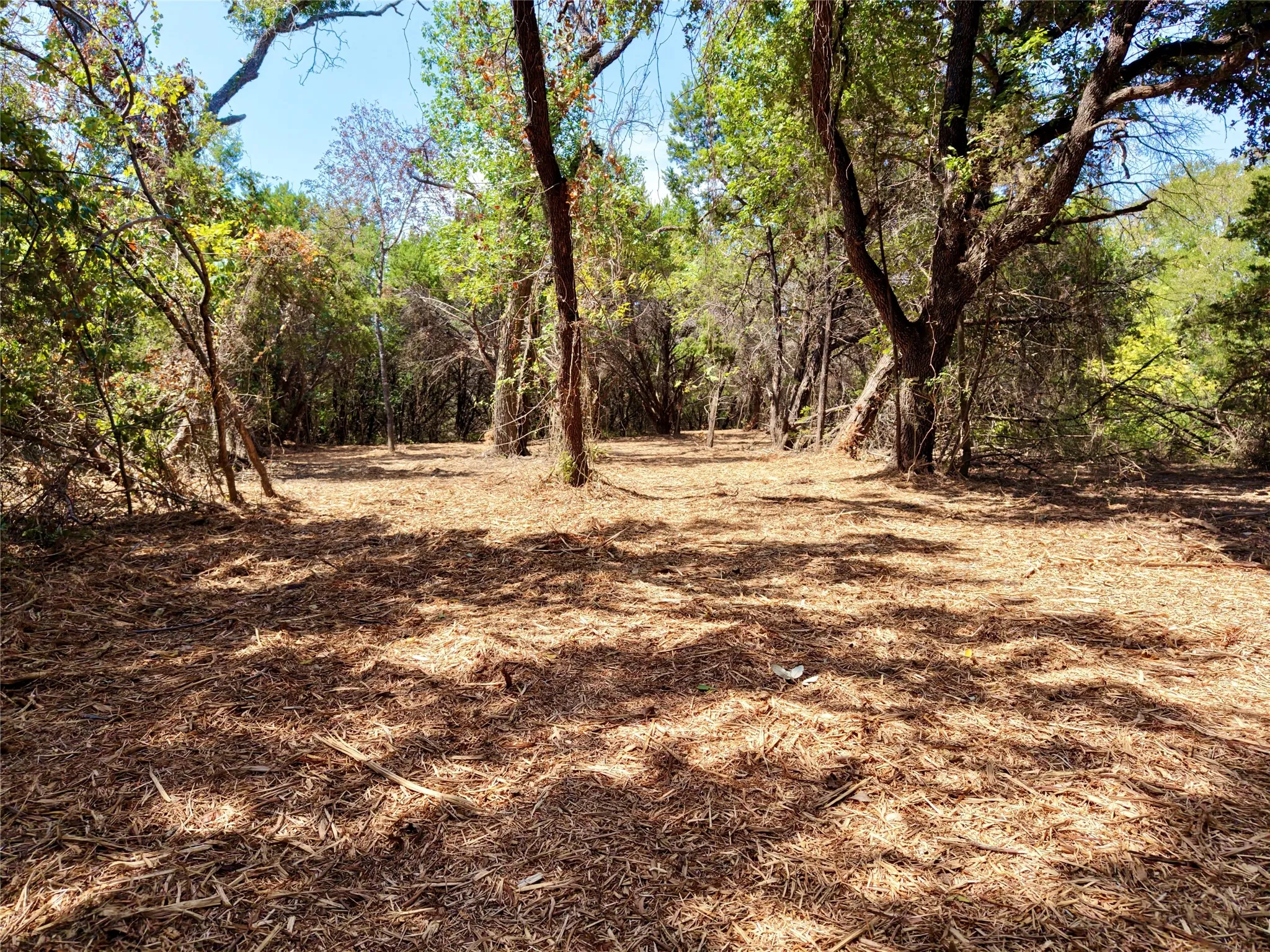 Unimproved Land For Sale in Bosque County , TBD County Road 4240, Clifton, Texas 76634, 0, 0, Garage spaces, 0 Sqft, built in 0, mls#21376077, Real Estate Agent in Clifton, Homes For Sale in Bosque county, Homes For Sale in Clifton, Realtor in Clifton Texas, Real Estate Brokerage Independent Realty Texas, Luminita Cordes Realtor