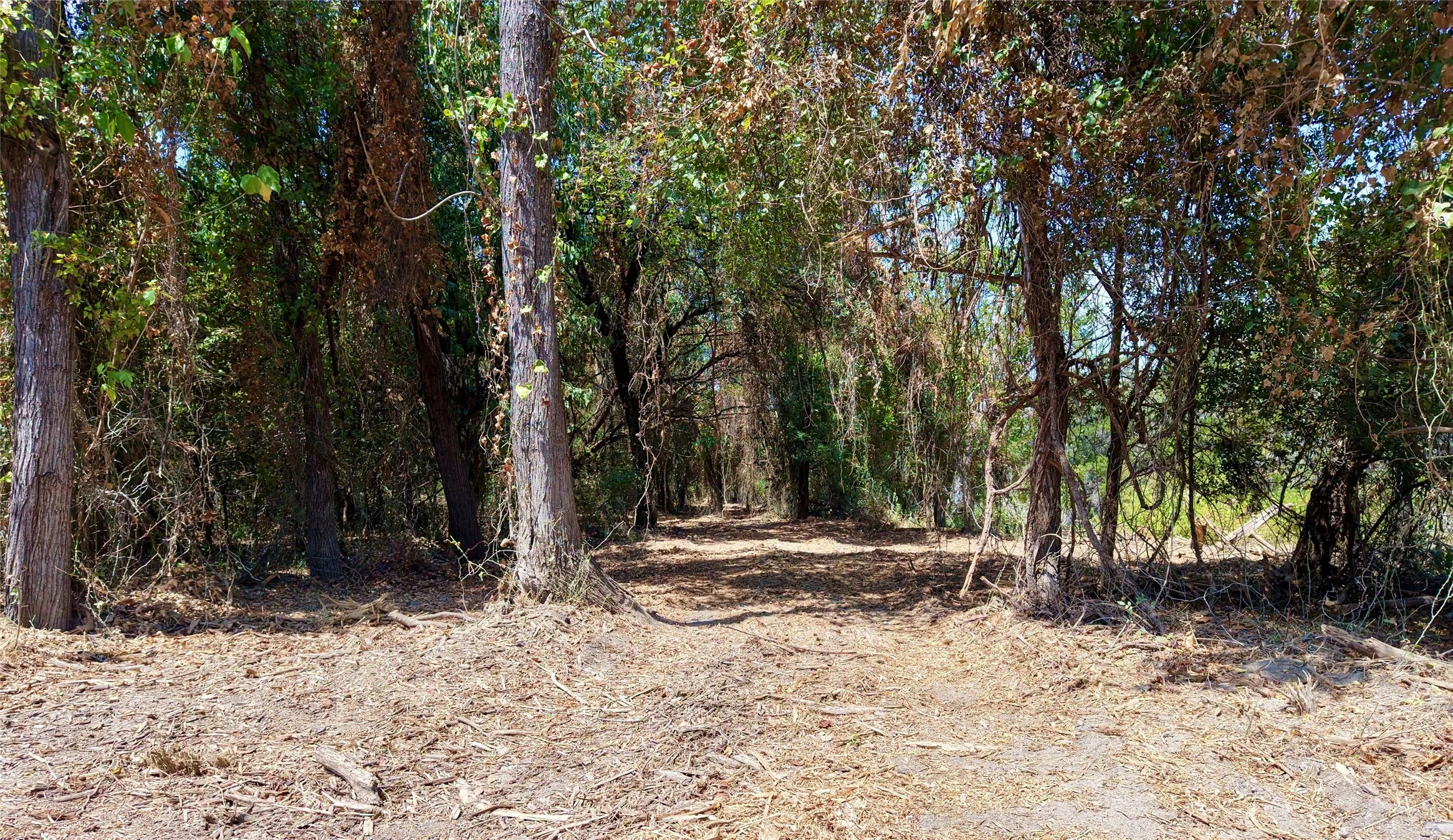 Unimproved Land For Sale in Bosque County , TBD County Road 4240, Clifton, Texas 76634, 0, 0, Garage spaces, 0 Sqft, built in 0, mls#21376077, Real Estate Agent in Clifton, Homes For Sale in Bosque county, Homes For Sale in Clifton, Realtor in Clifton Texas, Real Estate Brokerage Independent Realty Texas, Luminita Cordes Realtor