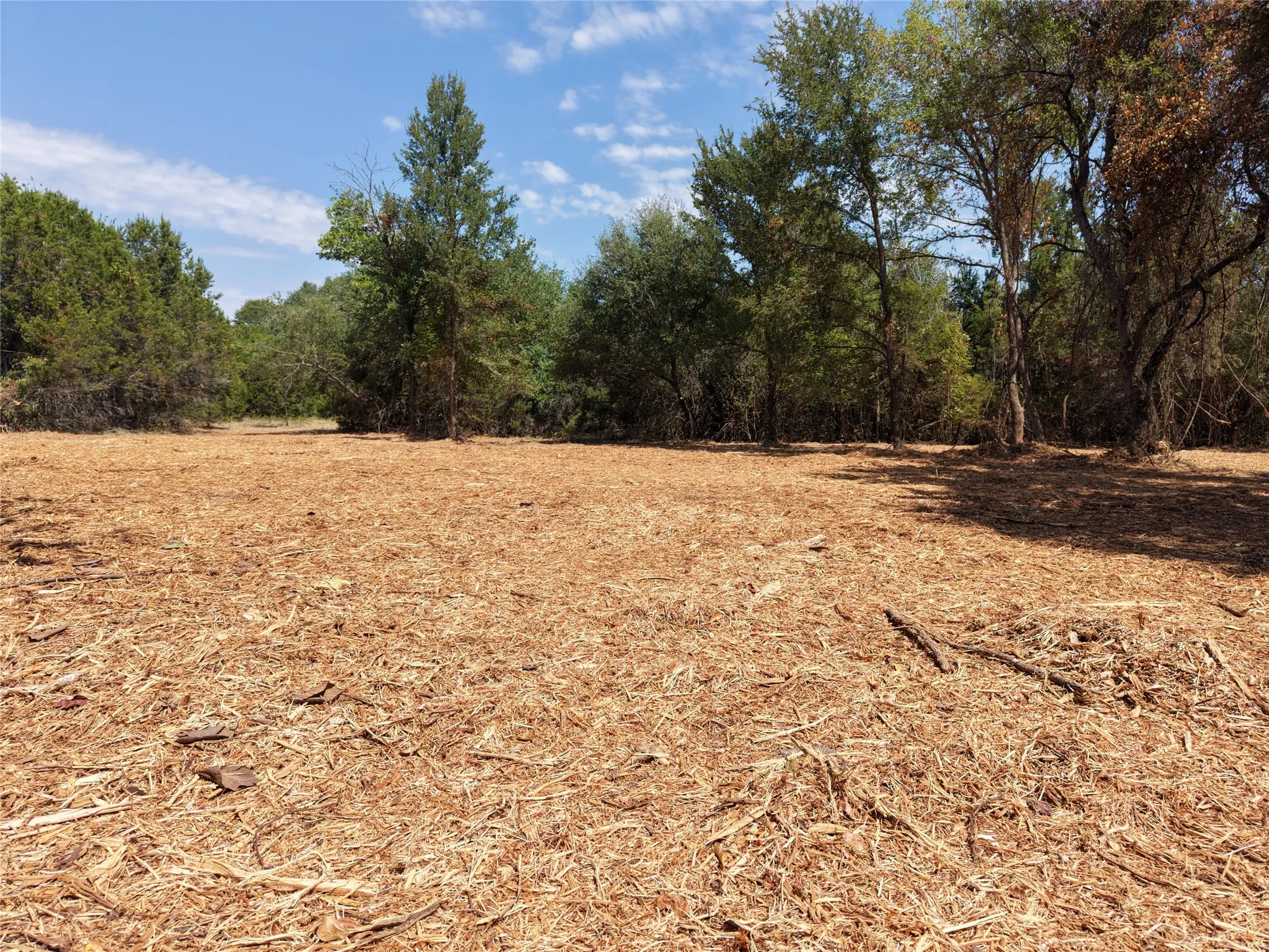 Unimproved Land For Sale in Bosque County , TBD County Road 4240, Clifton, Texas 76634, 0, 0, Garage spaces, 0 Sqft, built in 0, mls#21376077, Real Estate Agent in Clifton, Homes For Sale in Bosque county, Homes For Sale in Clifton, Realtor in Clifton Texas, Real Estate Brokerage Independent Realty Texas, Luminita Cordes Realtor