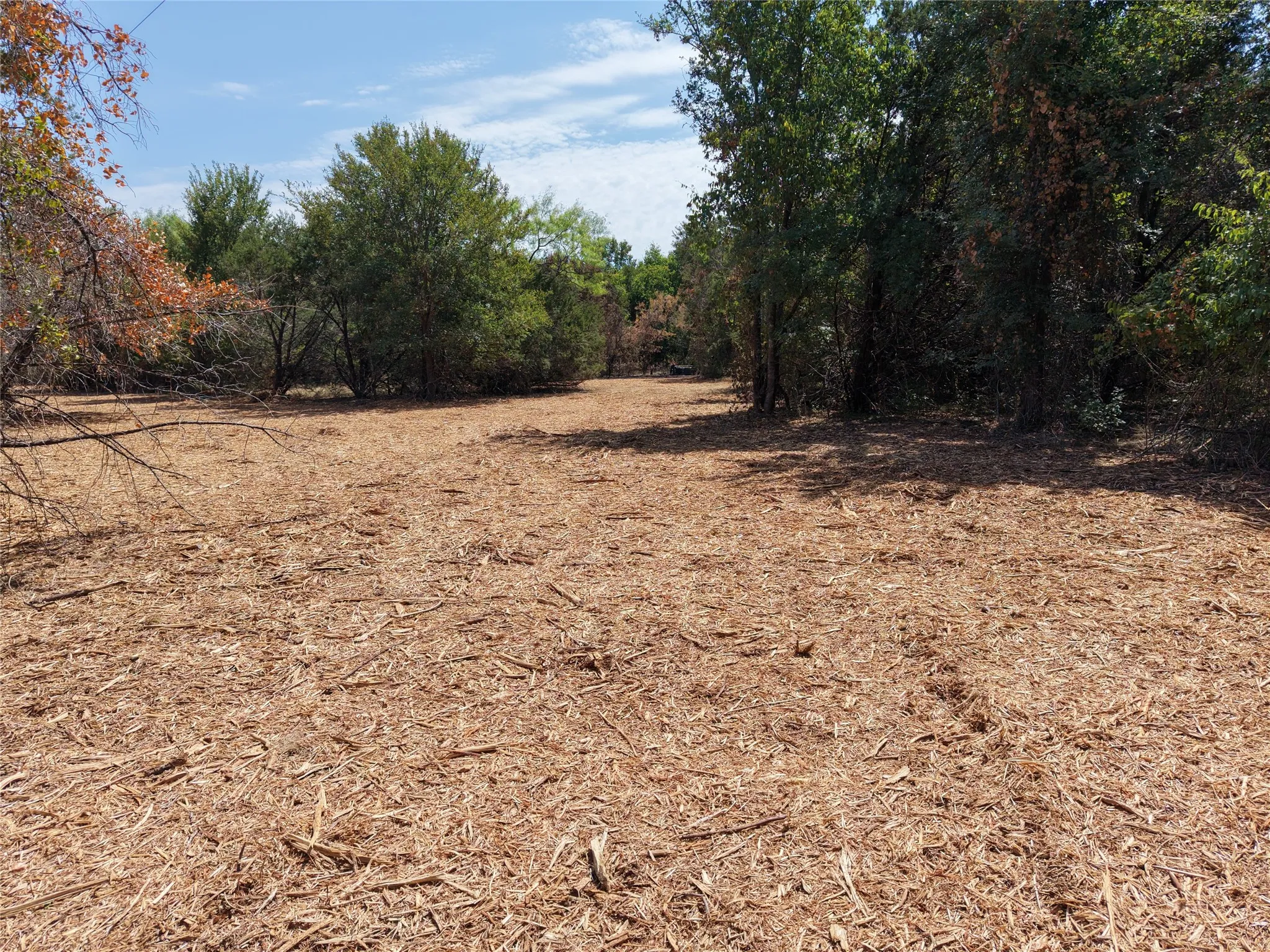 Unimproved Land For Sale in Bosque County , TBD County Road 4240, Clifton, Texas 76634, 0, 0, Garage spaces, 0 Sqft, built in 0, mls#21376077, Real Estate Agent in Clifton, Homes For Sale in Bosque county, Homes For Sale in Clifton, Realtor in Clifton Texas, Real Estate Brokerage Independent Realty Texas, Luminita Cordes Realtor