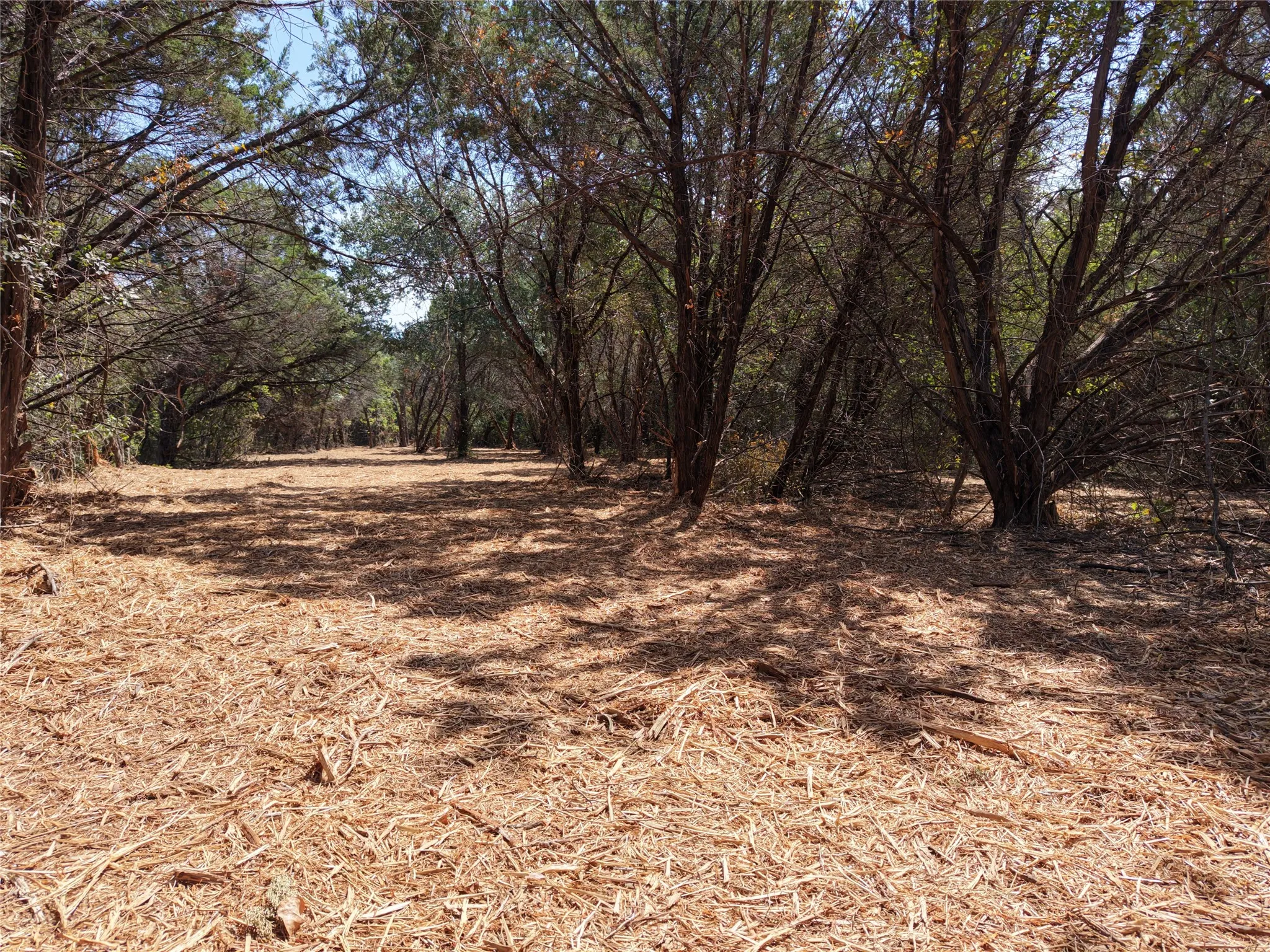 Unimproved Land For Sale in Bosque County , TBD County Road 4240, Clifton, Texas 76634, 0, 0, Garage spaces, 0 Sqft, built in 0, mls#21376077, Real Estate Agent in Clifton, Homes For Sale in Bosque county, Homes For Sale in Clifton, Realtor in Clifton Texas, Real Estate Brokerage Independent Realty Texas, Luminita Cordes Realtor