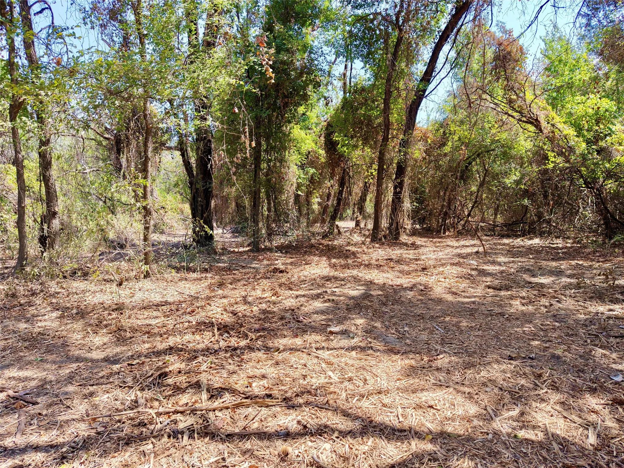 Unimproved Land For Sale in Bosque County , TBD County Road 4240, Clifton, Texas 76634, 0, 0, Garage spaces, 0 Sqft, built in 0, mls#21376077, Real Estate Agent in Clifton, Homes For Sale in Bosque county, Homes For Sale in Clifton, Realtor in Clifton Texas, Real Estate Brokerage Independent Realty Texas, Luminita Cordes Realtor