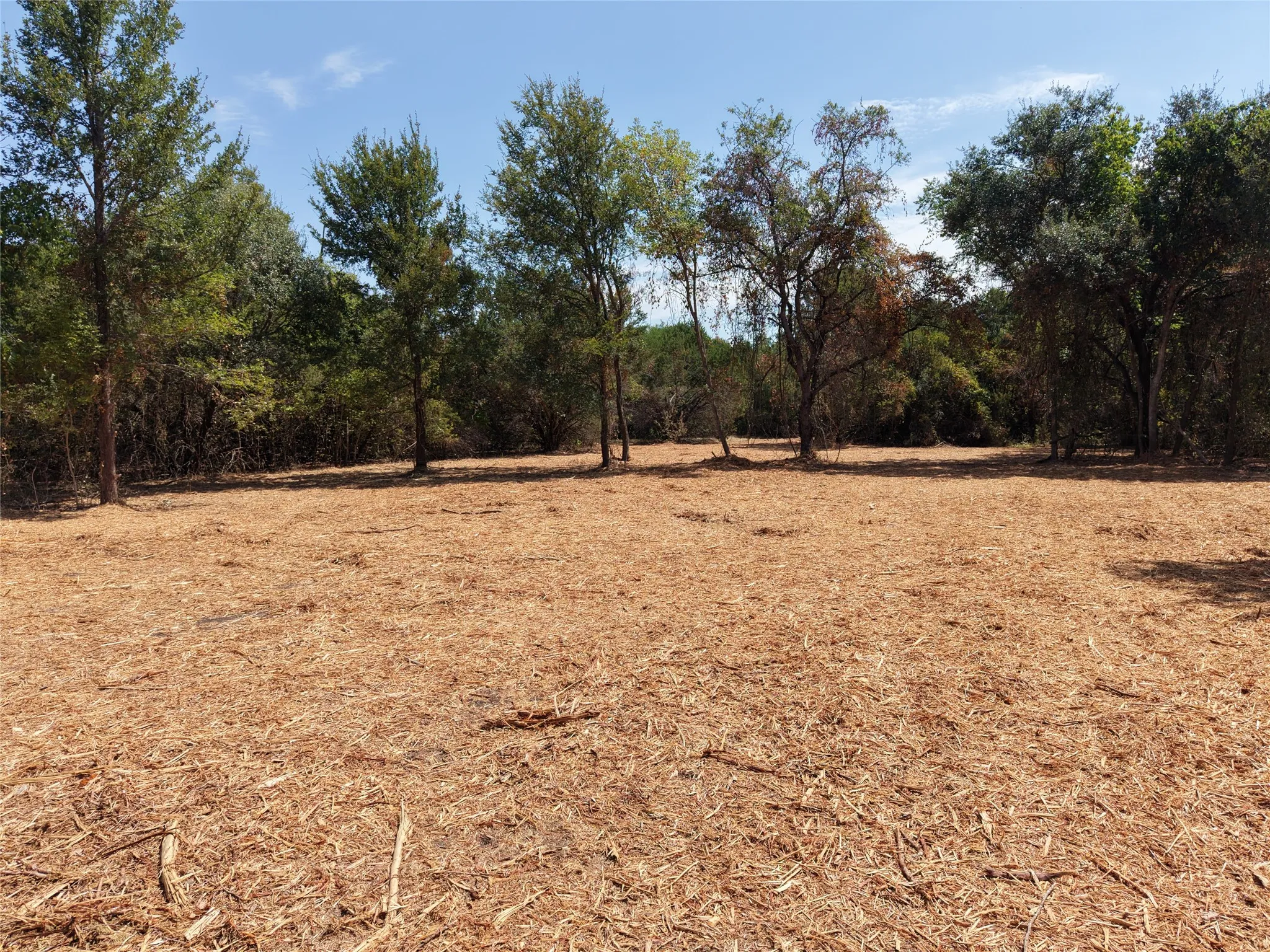 Unimproved Land For Sale in Bosque County , TBD County Road 4240, Clifton, Texas 76634, 0, 0, Garage spaces, 0 Sqft, built in 0, mls#21376077, Real Estate Agent in Clifton, Homes For Sale in Bosque county, Homes For Sale in Clifton, Realtor in Clifton Texas, Real Estate Brokerage Independent Realty Texas, Luminita Cordes Realtor