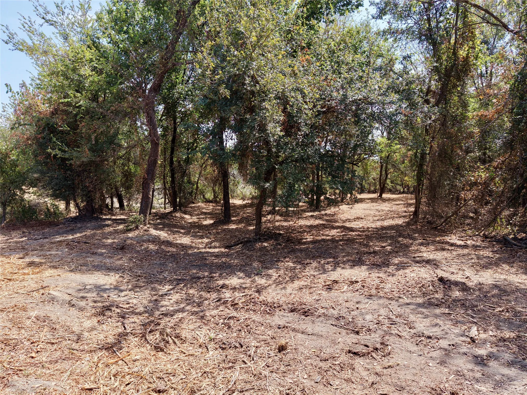 Unimproved Land For Sale in Bosque County , TBD County Road 4240, Clifton, Texas 76634, 0, 0, Garage spaces, 0 Sqft, built in 0, mls#21376077, Real Estate Agent in Clifton, Homes For Sale in Bosque county, Homes For Sale in Clifton, Realtor in Clifton Texas, Real Estate Brokerage Independent Realty Texas, Luminita Cordes Realtor