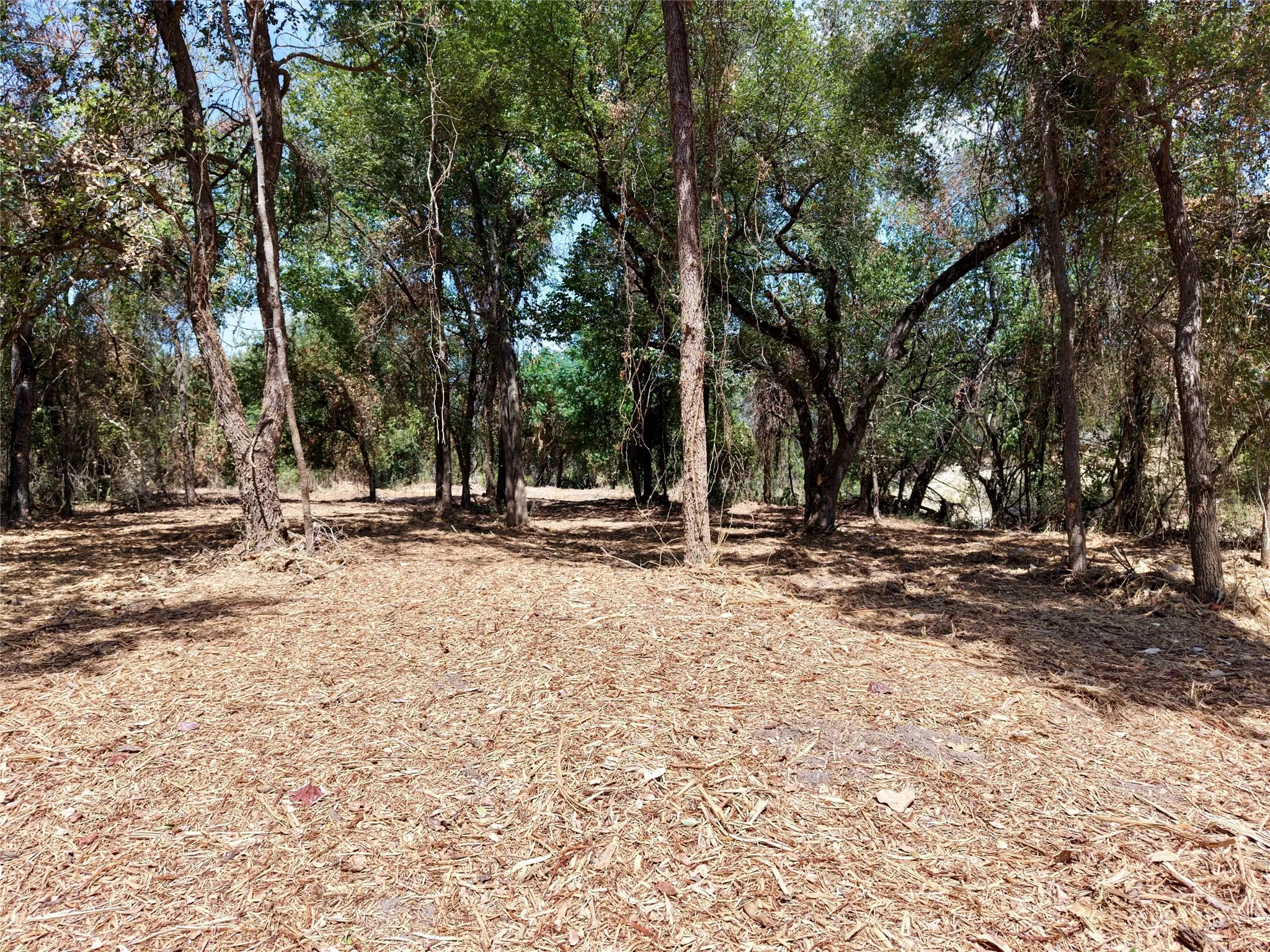 Unimproved Land For Sale in Bosque County , TBD County Road 4240, Clifton, Texas 76634, 0, 0, Garage spaces, 0 Sqft, built in 0, mls#21376077, Real Estate Agent in Clifton, Homes For Sale in Bosque county, Homes For Sale in Clifton, Realtor in Clifton Texas, Real Estate Brokerage Independent Realty Texas, Luminita Cordes Realtor