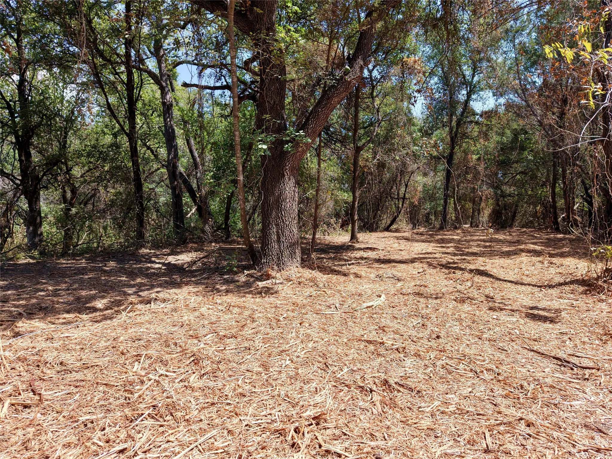 Unimproved Land For Sale in Bosque County , TBD County Road 4240, Clifton, Texas 76634, 0, 0, Garage spaces, 0 Sqft, built in 0, mls#21376077, Real Estate Agent in Clifton, Homes For Sale in Bosque county, Homes For Sale in Clifton, Realtor in Clifton Texas, Real Estate Brokerage Independent Realty Texas, Luminita Cordes Realtor