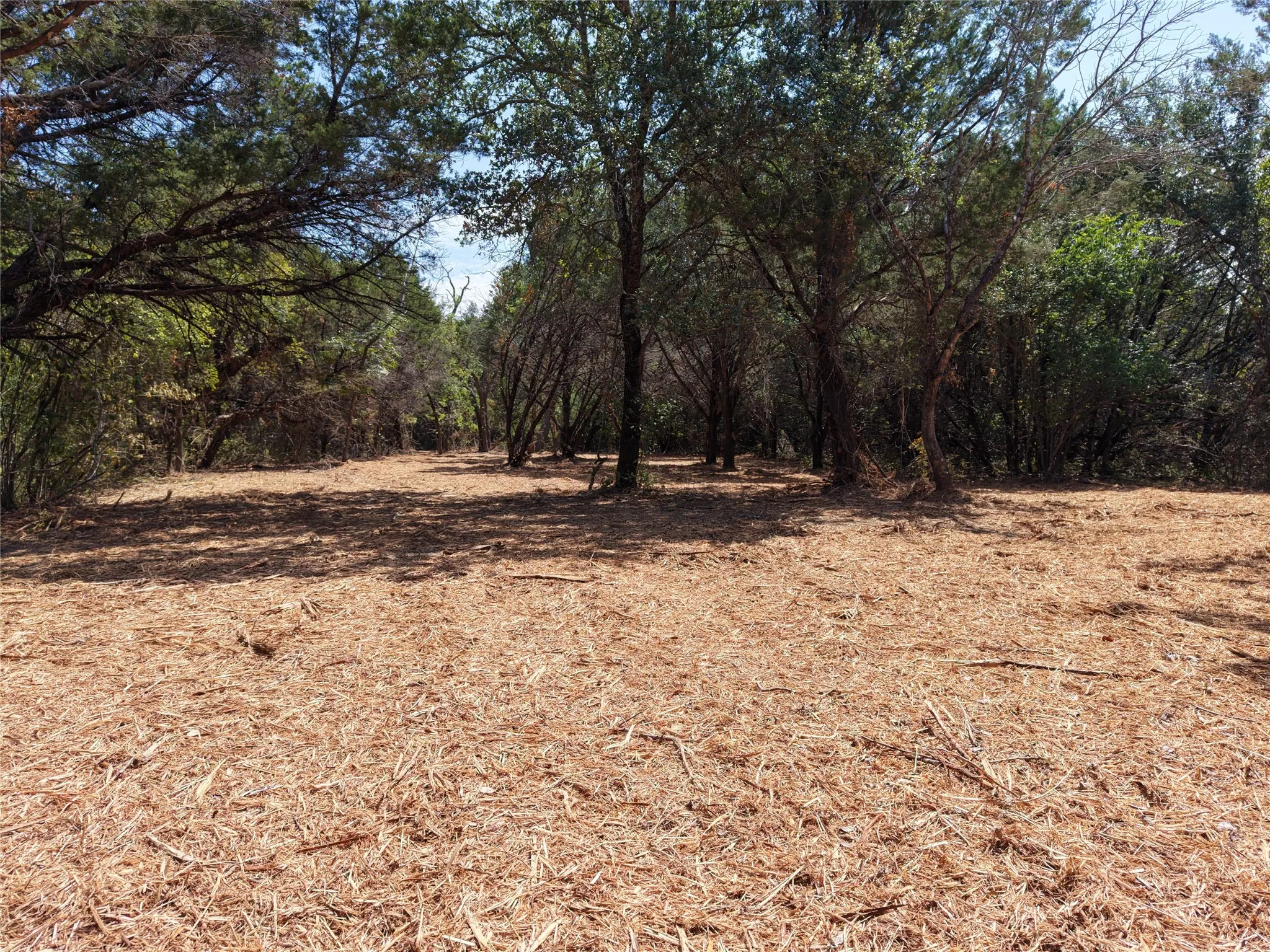 Unimproved Land For Sale in Bosque County , TBD County Road 4240, Clifton, Texas 76634, 0, 0, Garage spaces, 0 Sqft, built in 0, mls#21376077, Real Estate Agent in Clifton, Homes For Sale in Bosque county, Homes For Sale in Clifton, Realtor in Clifton Texas, Real Estate Brokerage Independent Realty Texas, Luminita Cordes Realtor