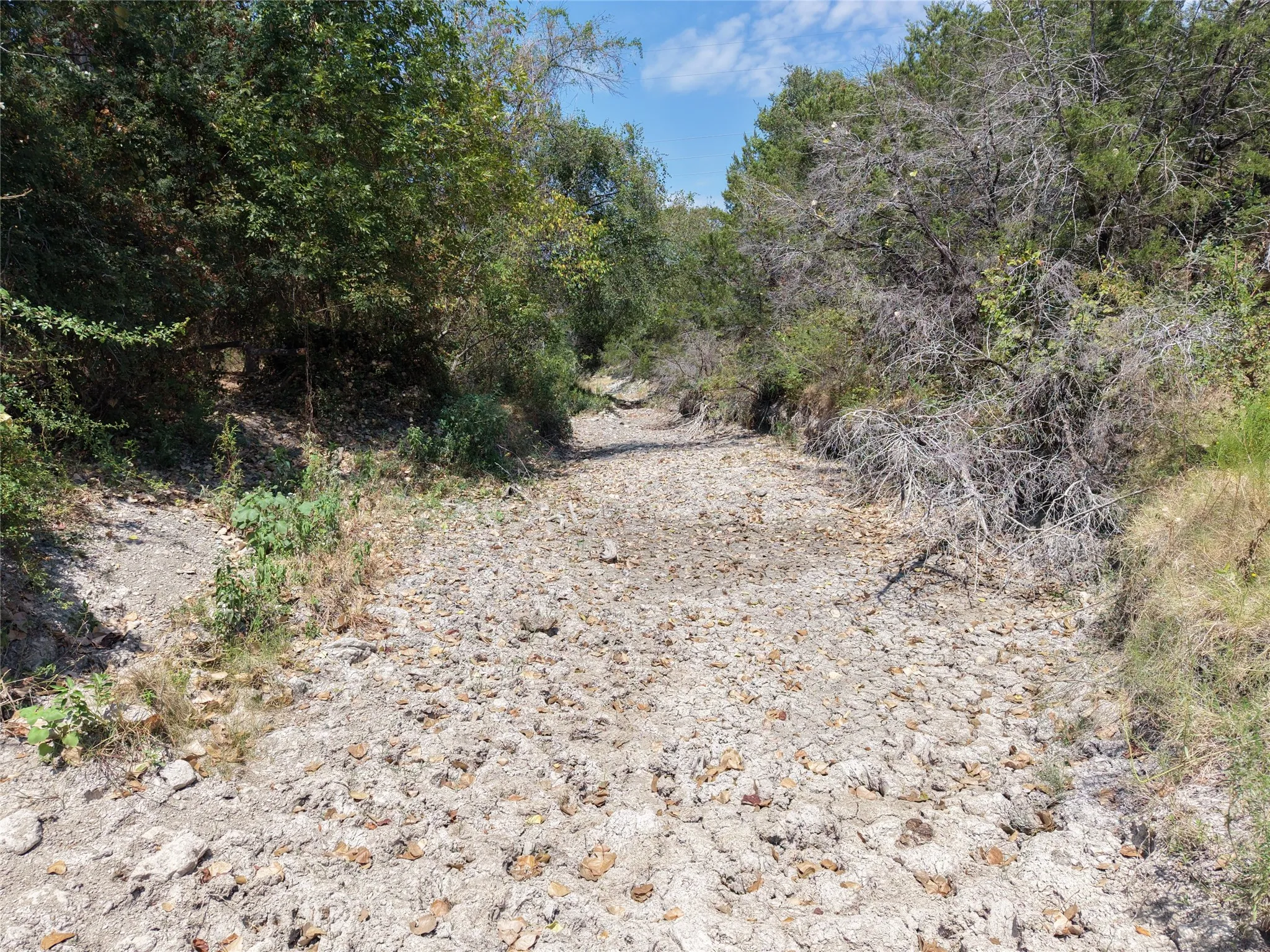 Unimproved Land For Sale in Bosque County , TBD County Road 4240, Clifton, Texas 76634, 0, 0, Garage spaces, 0 Sqft, built in 0, mls#21376077, Real Estate Agent in Clifton, Homes For Sale in Bosque county, Homes For Sale in Clifton, Realtor in Clifton Texas, Real Estate Brokerage Independent Realty Texas, Luminita Cordes Realtor