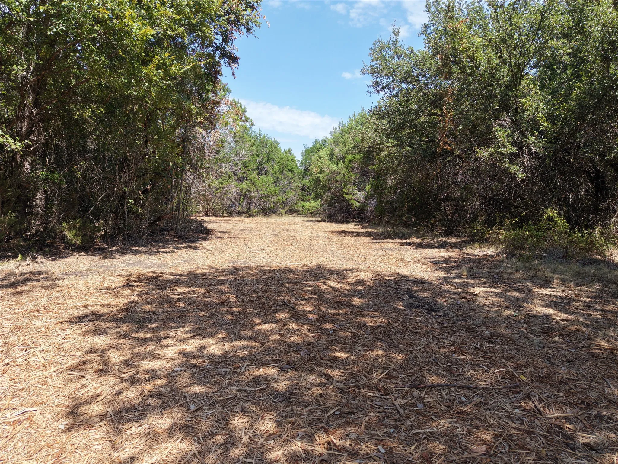 Unimproved Land For Sale in Bosque County , TBD County Road 4240, Clifton, Texas 76634, 0, 0, Garage spaces, 0 Sqft, built in 0, mls#21376077, Real Estate Agent in Clifton, Homes For Sale in Bosque county, Homes For Sale in Clifton, Realtor in Clifton Texas, Real Estate Brokerage Independent Realty Texas, Luminita Cordes Realtor