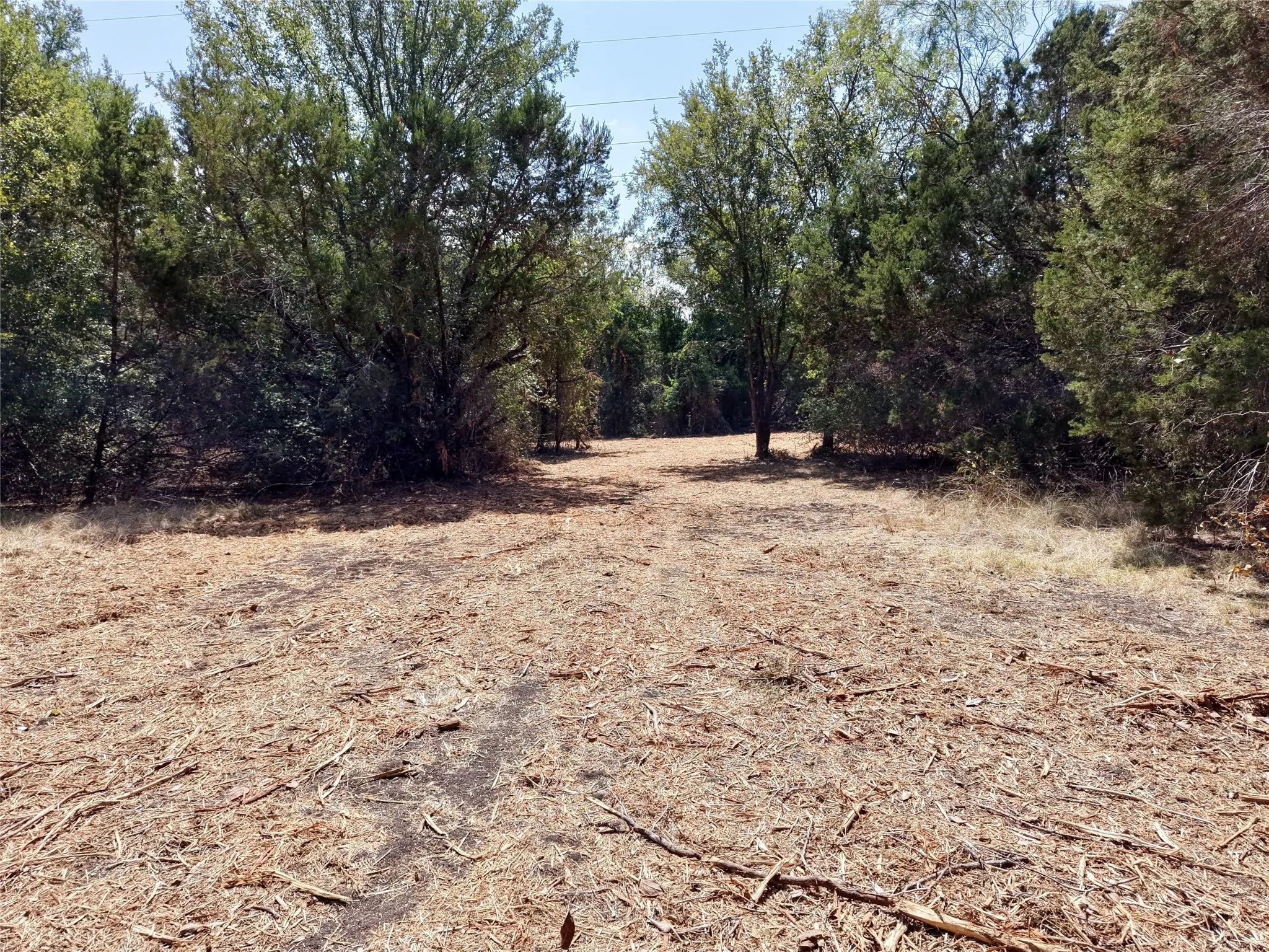 Unimproved Land For Sale in Bosque County , TBD County Road 4240, Clifton, Texas 76634, 0, 0, Garage spaces, 0 Sqft, built in 0, mls#21376077, Real Estate Agent in Clifton, Homes For Sale in Bosque county, Homes For Sale in Clifton, Realtor in Clifton Texas, Real Estate Brokerage Independent Realty Texas, Luminita Cordes Realtor