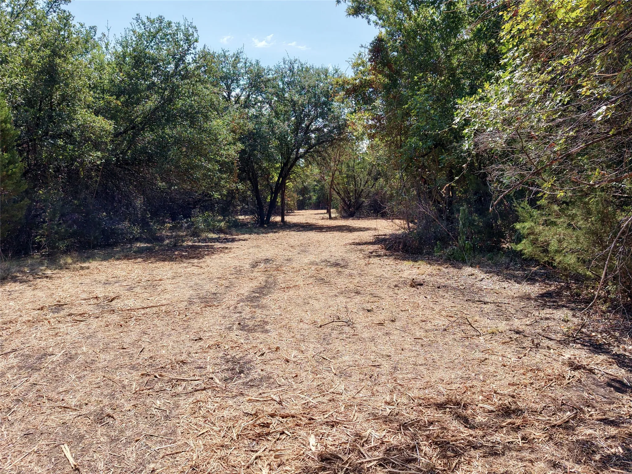 Unimproved Land For Sale in Bosque County , TBD County Road 4240, Clifton, Texas 76634, 0, 0, Garage spaces, 0 Sqft, built in 0, mls#21376077, Real Estate Agent in Clifton, Homes For Sale in Bosque county, Homes For Sale in Clifton, Realtor in Clifton Texas, Real Estate Brokerage Independent Realty Texas, Luminita Cordes Realtor