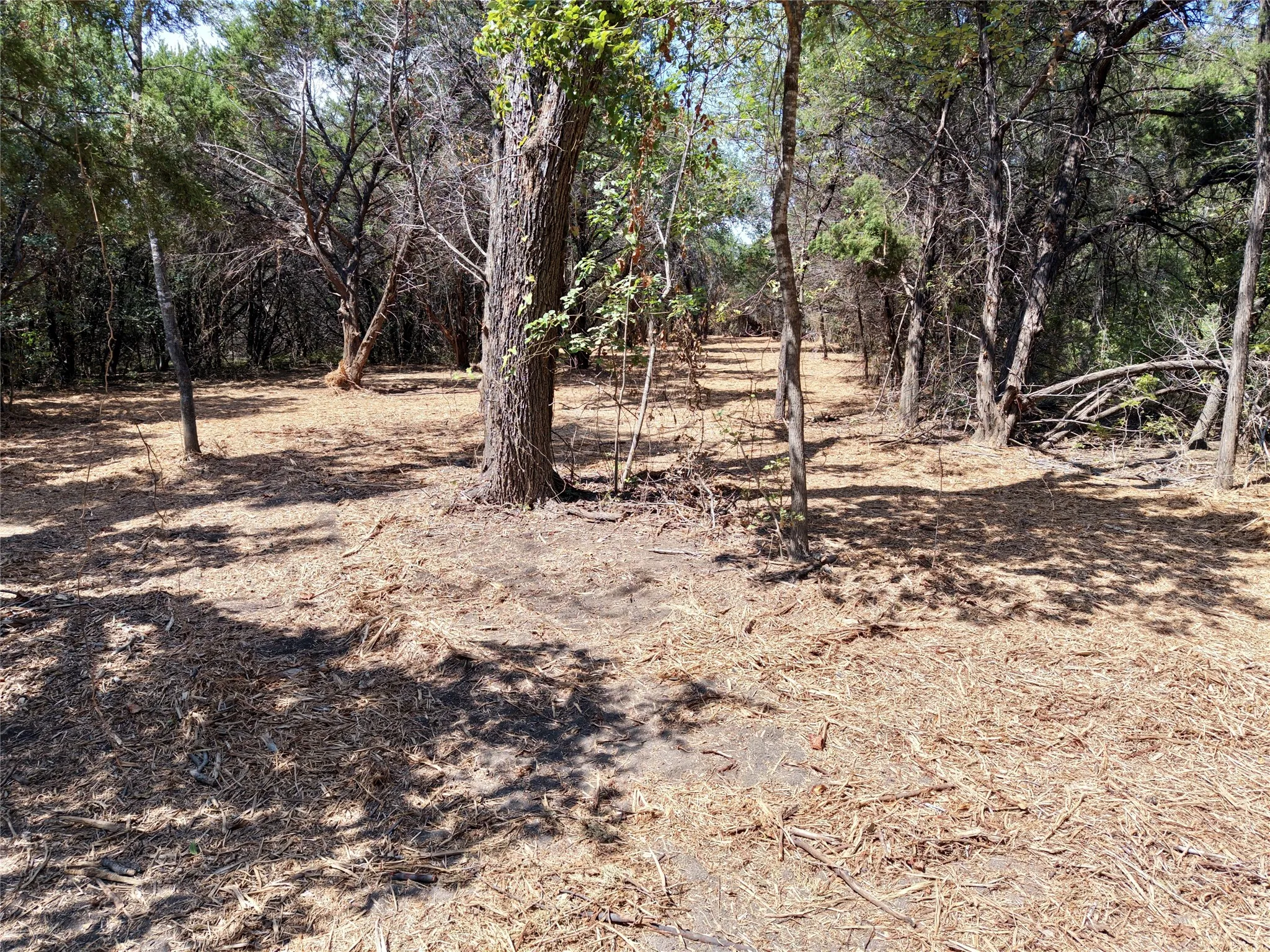 Unimproved Land For Sale in Bosque County , TBD County Road 4240, Clifton, Texas 76634, 0, 0, Garage spaces, 0 Sqft, built in 0, mls#21376077, Real Estate Agent in Clifton, Homes For Sale in Bosque county, Homes For Sale in Clifton, Realtor in Clifton Texas, Real Estate Brokerage Independent Realty Texas, Luminita Cordes Realtor