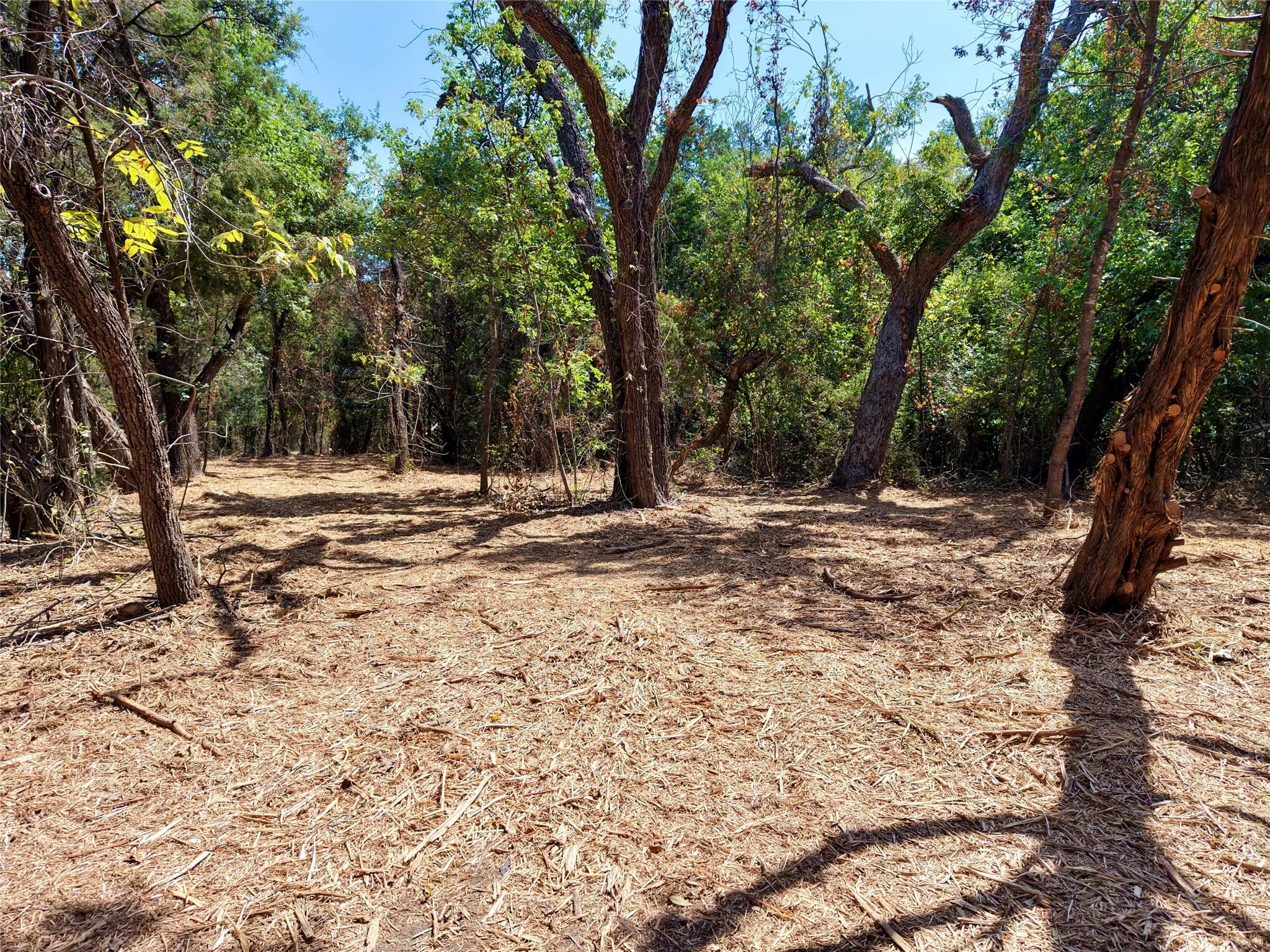Unimproved Land For Sale in Bosque County , TBD County Road 4240, Clifton, Texas 76634, 0, 0, Garage spaces, 0 Sqft, built in 0, mls#21376077, Real Estate Agent in Clifton, Homes For Sale in Bosque county, Homes For Sale in Clifton, Realtor in Clifton Texas, Real Estate Brokerage Independent Realty Texas, Luminita Cordes Realtor