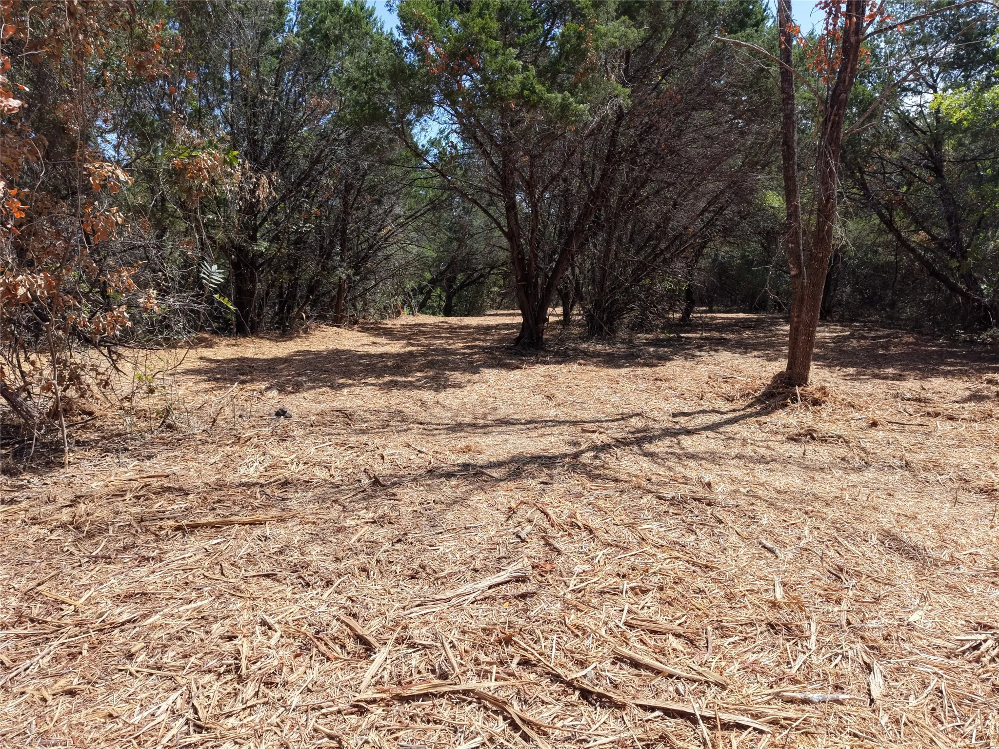Unimproved Land For Sale in Bosque County , TBD County Road 4240, Clifton, Texas 76634, 0, 0, Garage spaces, 0 Sqft, built in 0, mls#21376077, Real Estate Agent in Clifton, Homes For Sale in Bosque county, Homes For Sale in Clifton, Realtor in Clifton Texas, Real Estate Brokerage Independent Realty Texas, Luminita Cordes Realtor