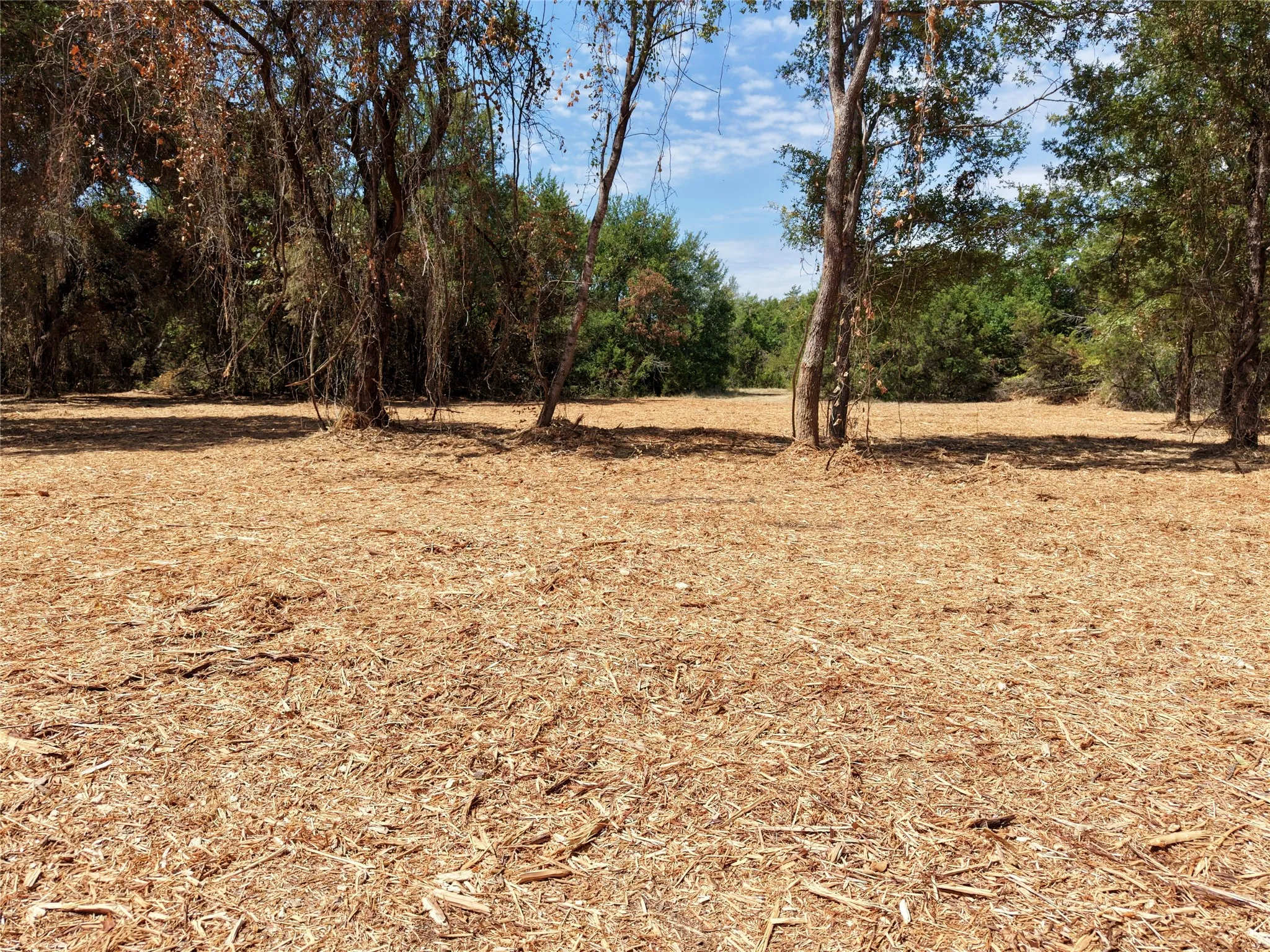 Unimproved Land For Sale in Bosque County , TBD County Road 4240, Clifton, Texas 76634, 0, 0, Garage spaces, 0 Sqft, built in 0, mls#21376077, Real Estate Agent in Clifton, Homes For Sale in Bosque county, Homes For Sale in Clifton, Realtor in Clifton Texas, Real Estate Brokerage Independent Realty Texas, Luminita Cordes Realtor