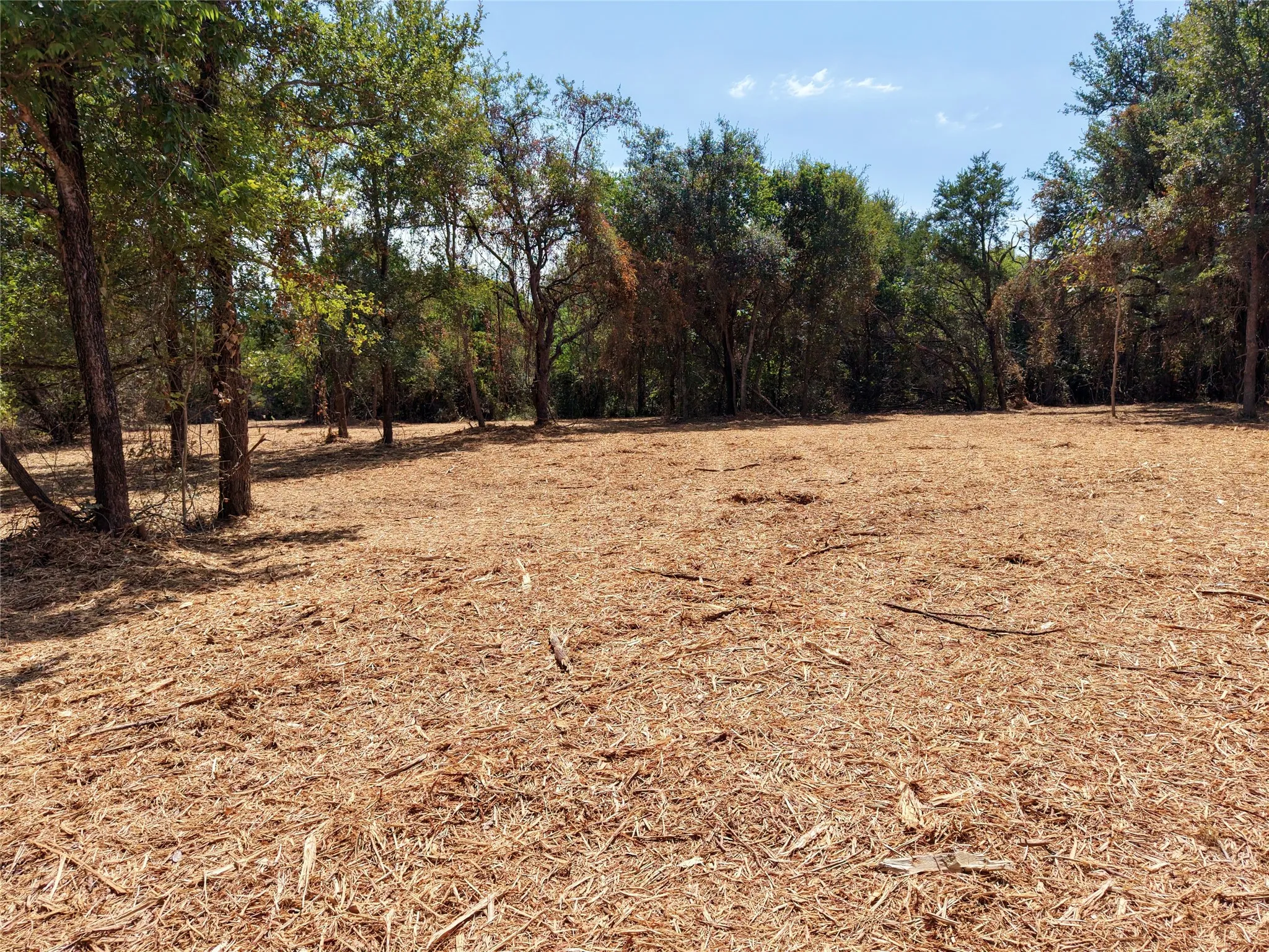 Unimproved Land For Sale in Bosque County , TBD County Road 4240, Clifton, Texas 76634, 0, 0, Garage spaces, 0 Sqft, built in 0, mls#21376077, Real Estate Agent in Clifton, Homes For Sale in Bosque county, Homes For Sale in Clifton, Realtor in Clifton Texas, Real Estate Brokerage Independent Realty Texas, Luminita Cordes Realtor