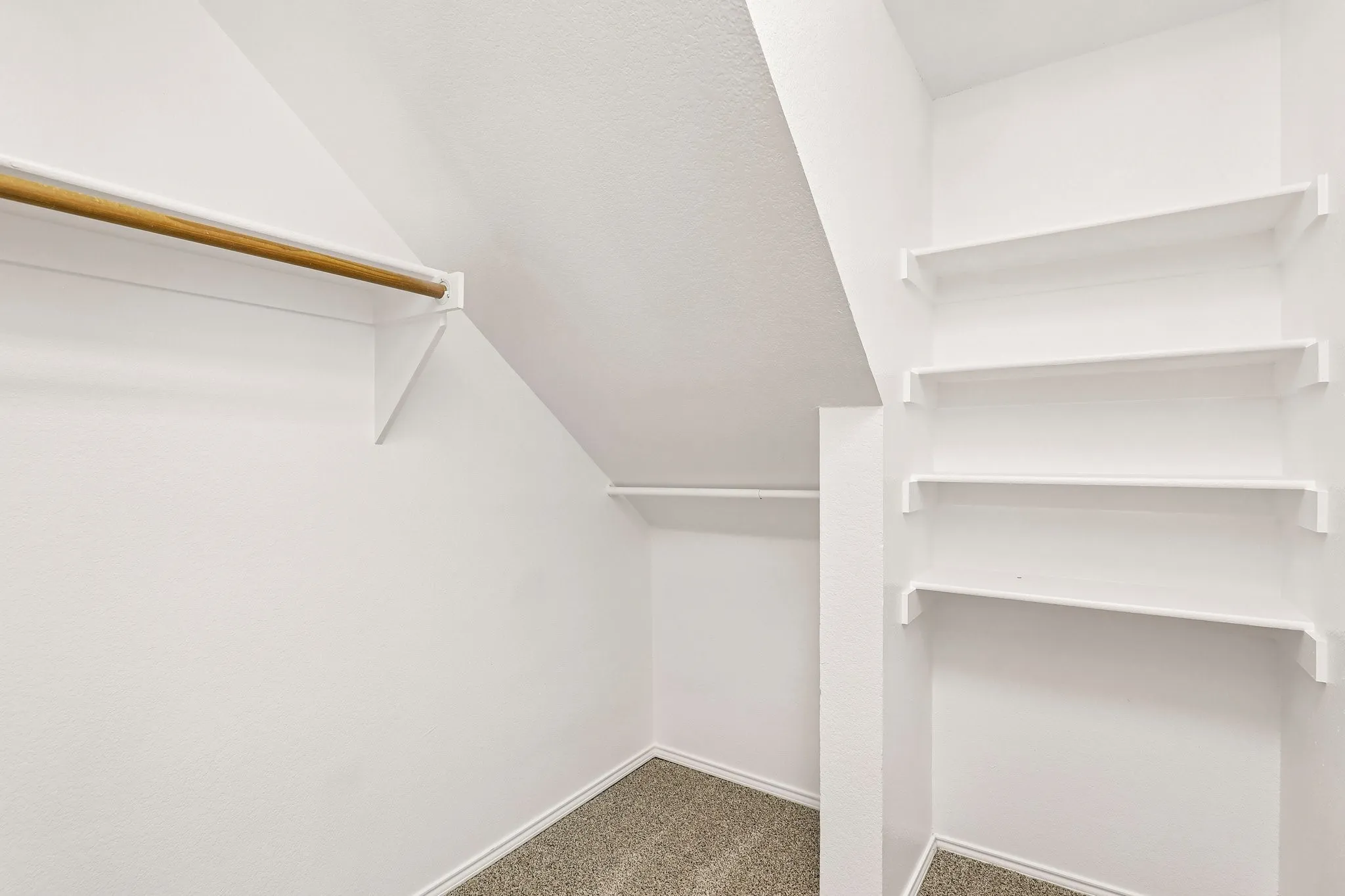 Primary walk-in  closet