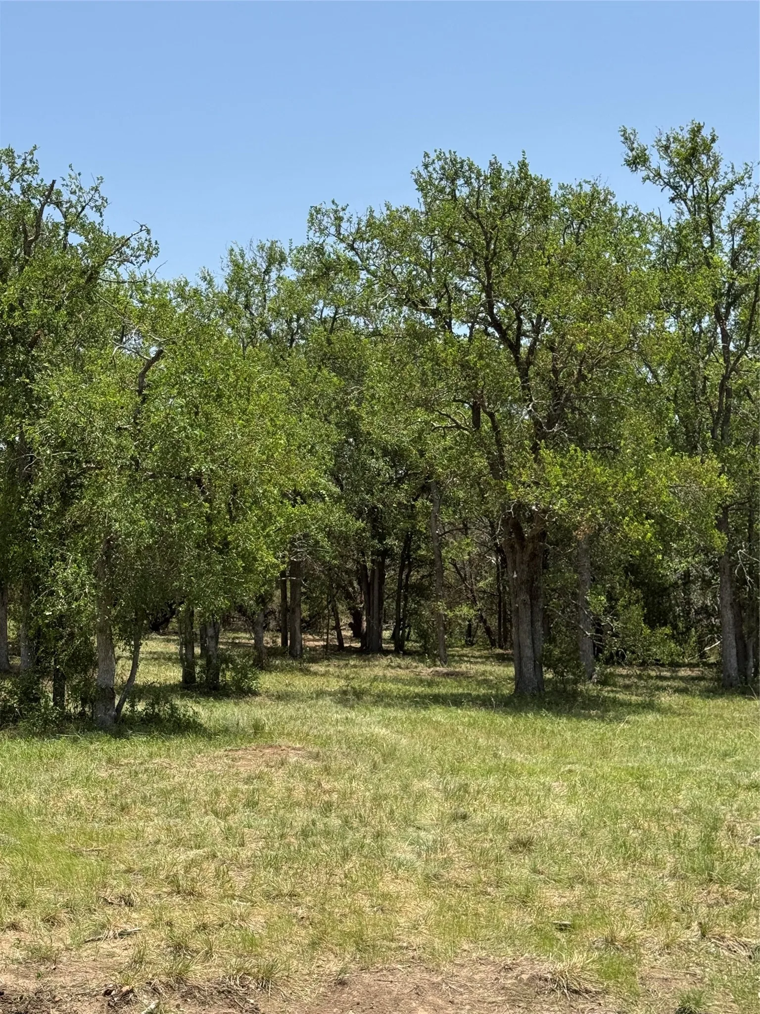 Unimproved Land For Sale in Hamilton County , TBD 16030, Jonesboro, Texas 76538, 0, 0, Garage spaces, 0 Sqft, built in 0, mls#21379086, Real Estate Agent in Jonesboro, Homes For Sale in Hamilton county, Homes For Sale in Jonesboro, Realtor in Jonesboro Texas, Real Estate Brokerage Independent Realty Texas, Luminita Cordes Realtor