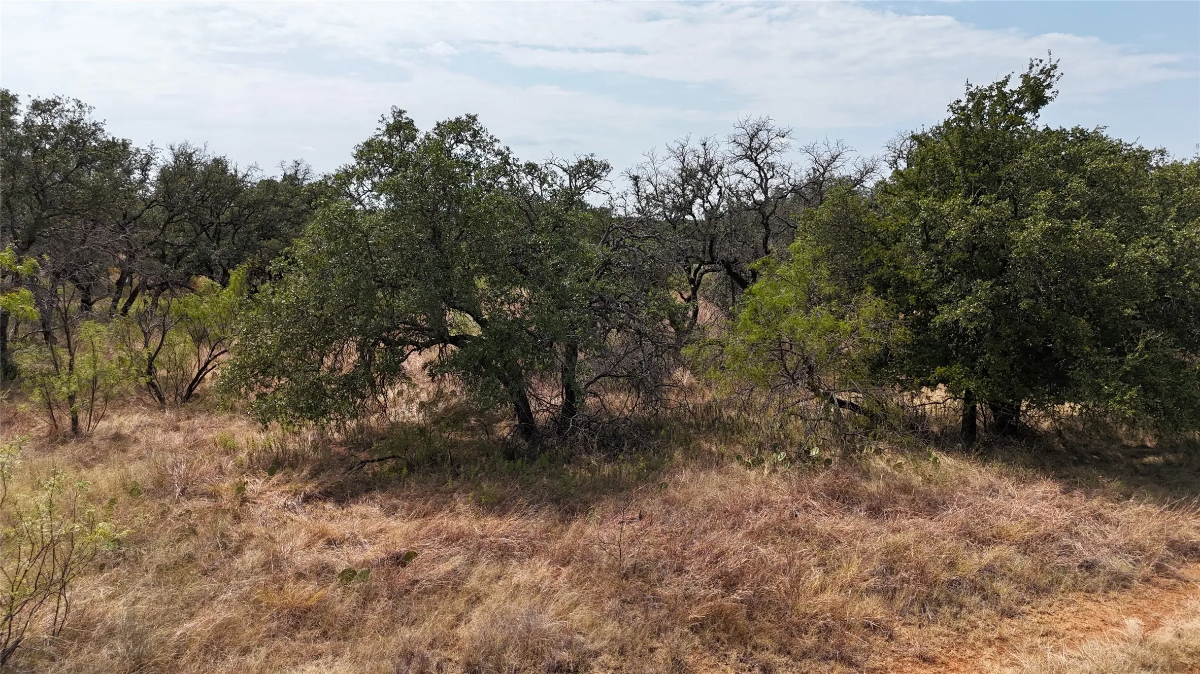 Unimproved Land For Sale in Brown County , TBD LANYARD Way, Brownwood, Texas 76801, 0, 0, Garage spaces, 0 Sqft, built in 0, mls#21379080, Real Estate Agent in Brownwood, Homes For Sale in Brown county, Homes For Sale in Brownwood, Realtor in Brownwood Texas, Real Estate Brokerage Independent Realty Texas, Luminita Cordes Realtor