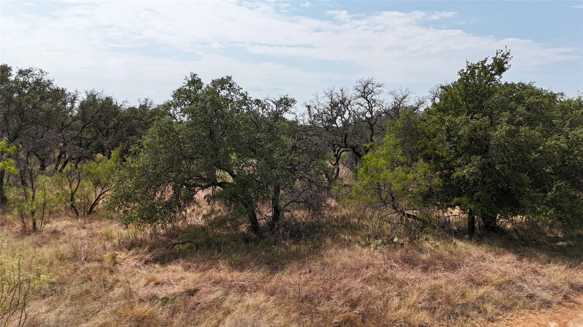 Unimproved Land For Sale in Brown County , TBD LANYARD Way, Brownwood, Texas 76801, 0, 0, Garage spaces, 0 Sqft, built in 0, mls#21379080, Real Estate Agent in Brownwood, Homes For Sale in Brown county, Homes For Sale in Brownwood, Realtor in Brownwood Texas, Real Estate Brokerage Independent Realty Texas, Luminita Cordes Realtor