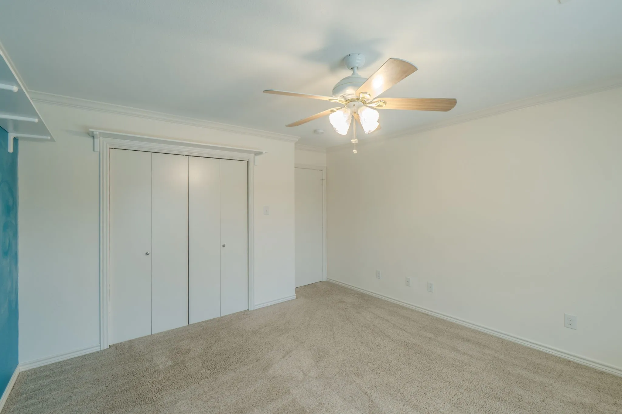 Secondary Primary upstairs Plush carpet flooring, crown molding, ceiling fan with light fixture, and bi-fold closet doors
