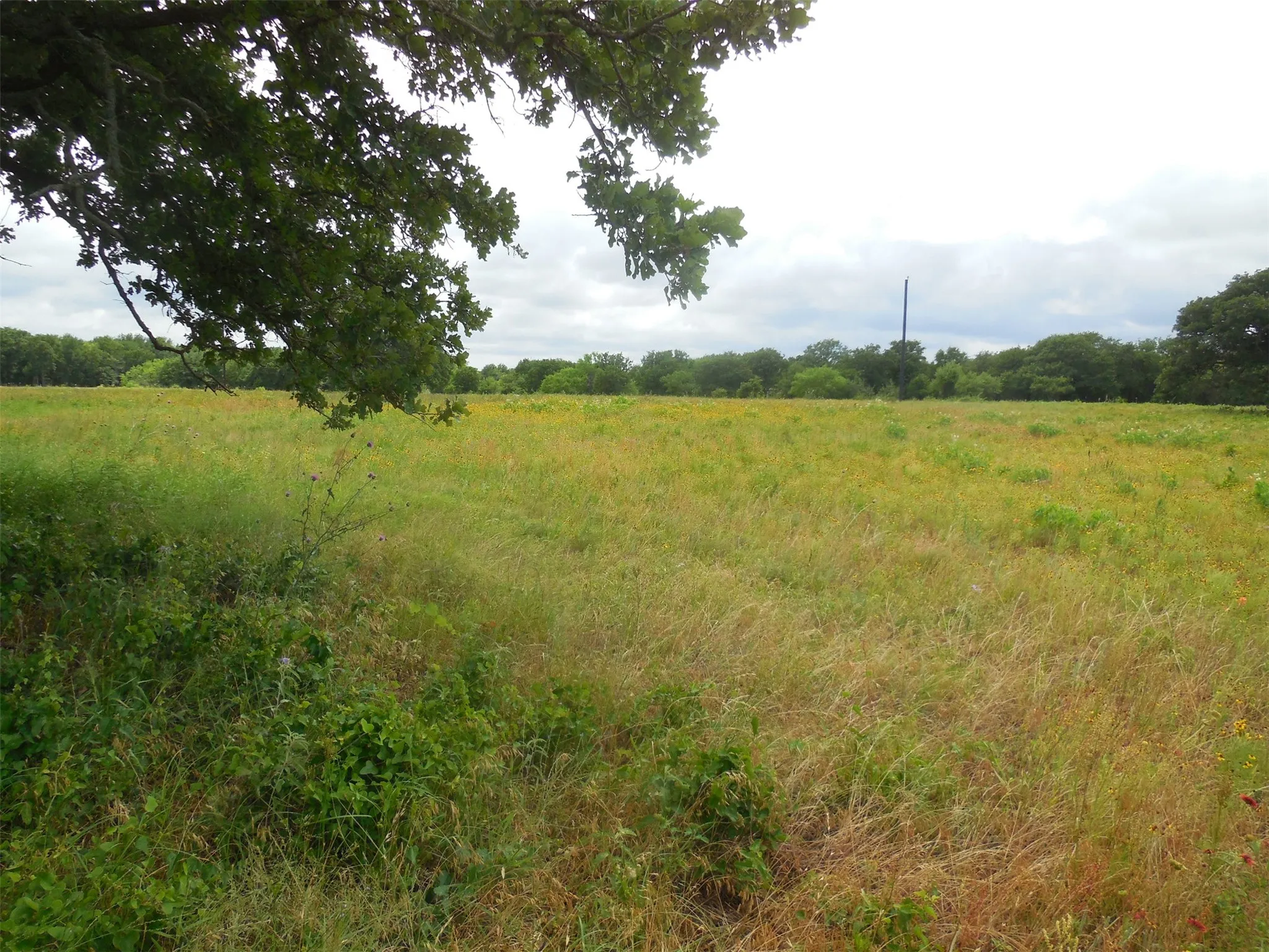 Unimproved Land For Sale in Eastland County , TBD County Road 488, Ranger, Texas 76470, 0, 0, Garage spaces, 0 Sqft, built in 0, mls#21379112, Real Estate Agent in Ranger, Homes For Sale in Eastland county, Homes For Sale in Ranger, Realtor in Ranger Texas, Real Estate Brokerage Independent Realty Texas, Luminita Cordes Realtor