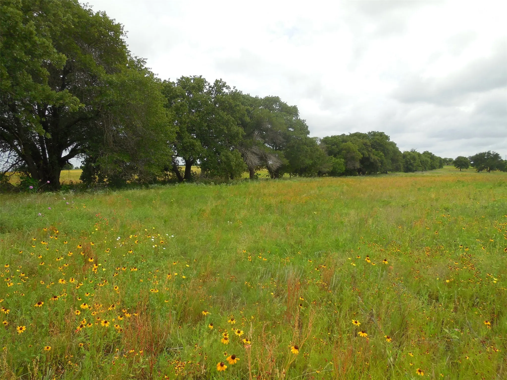 Unimproved Land For Sale in Eastland County , TBD County Road 488, Ranger, Texas 76470, 0, 0, Garage spaces, 0 Sqft, built in 0, mls#21379112, Real Estate Agent in Ranger, Homes For Sale in Eastland county, Homes For Sale in Ranger, Realtor in Ranger Texas, Real Estate Brokerage Independent Realty Texas, Luminita Cordes Realtor